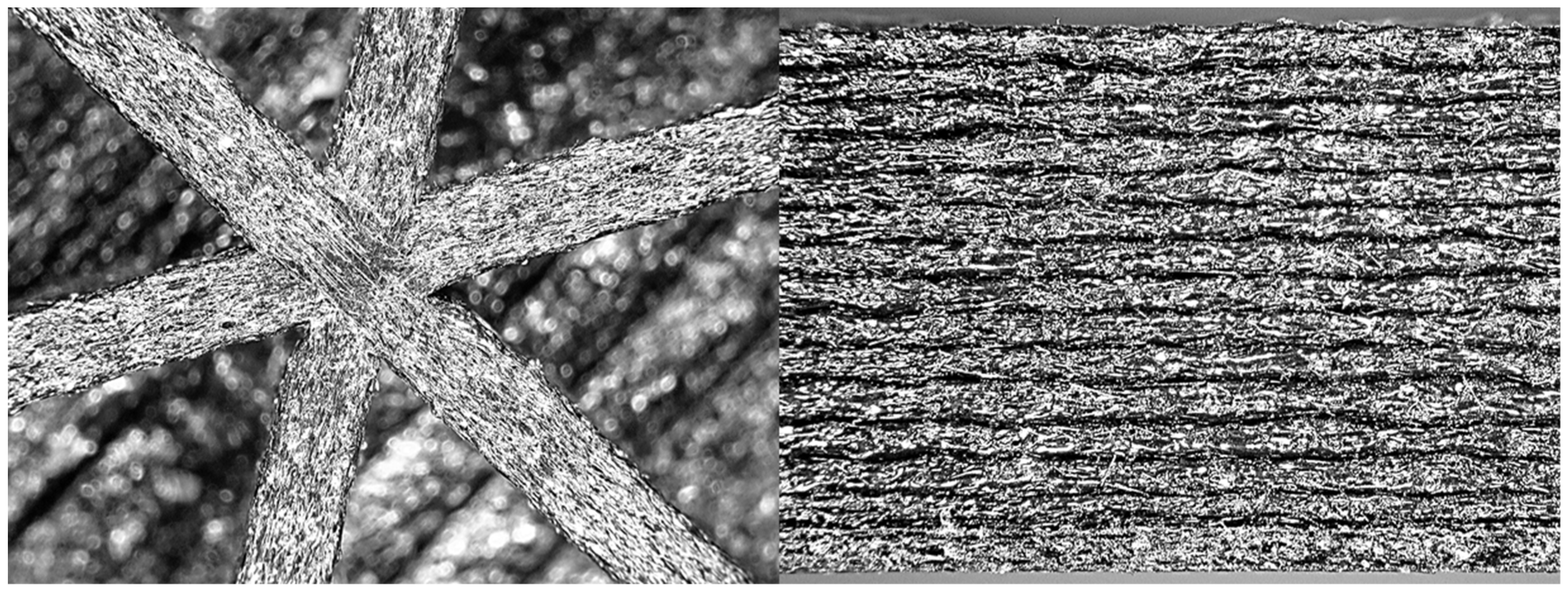 Materials 14 04625 g002 550