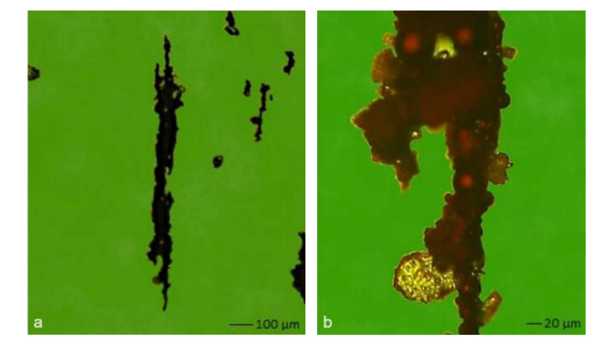 Materials 14 04628 g003