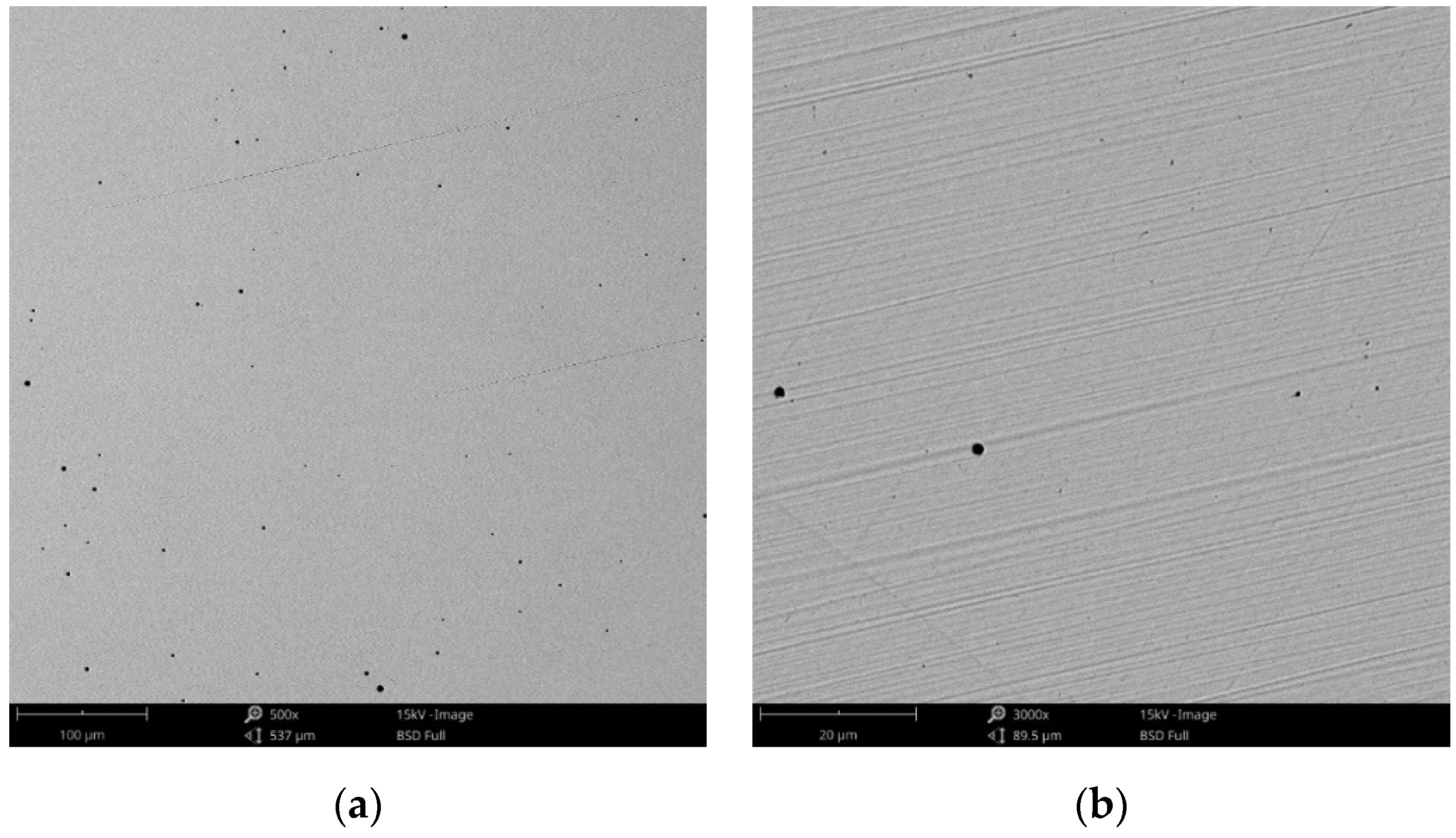 Materials 14 04635 g003 550
