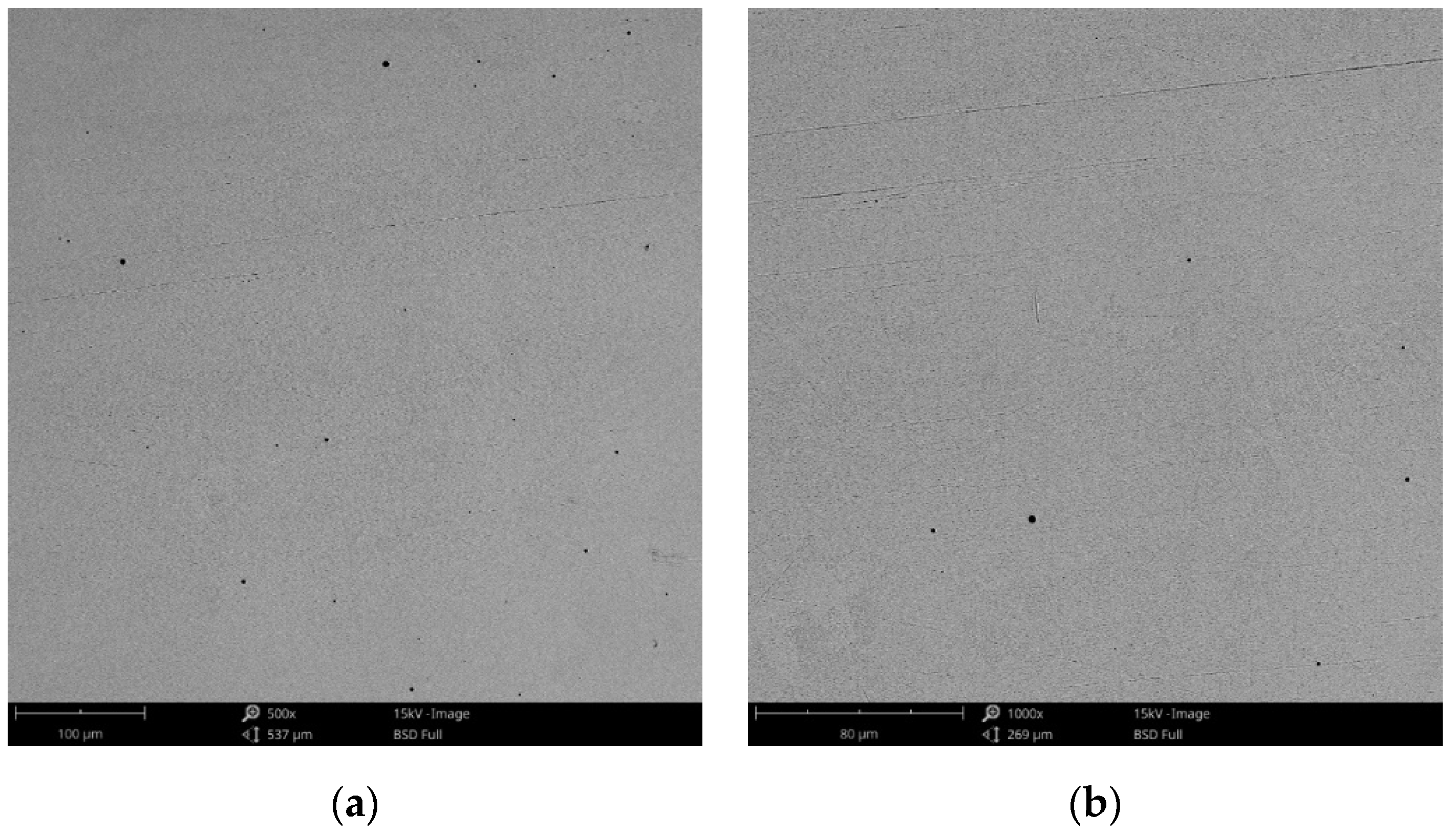 Materials 14 04635 g016 550