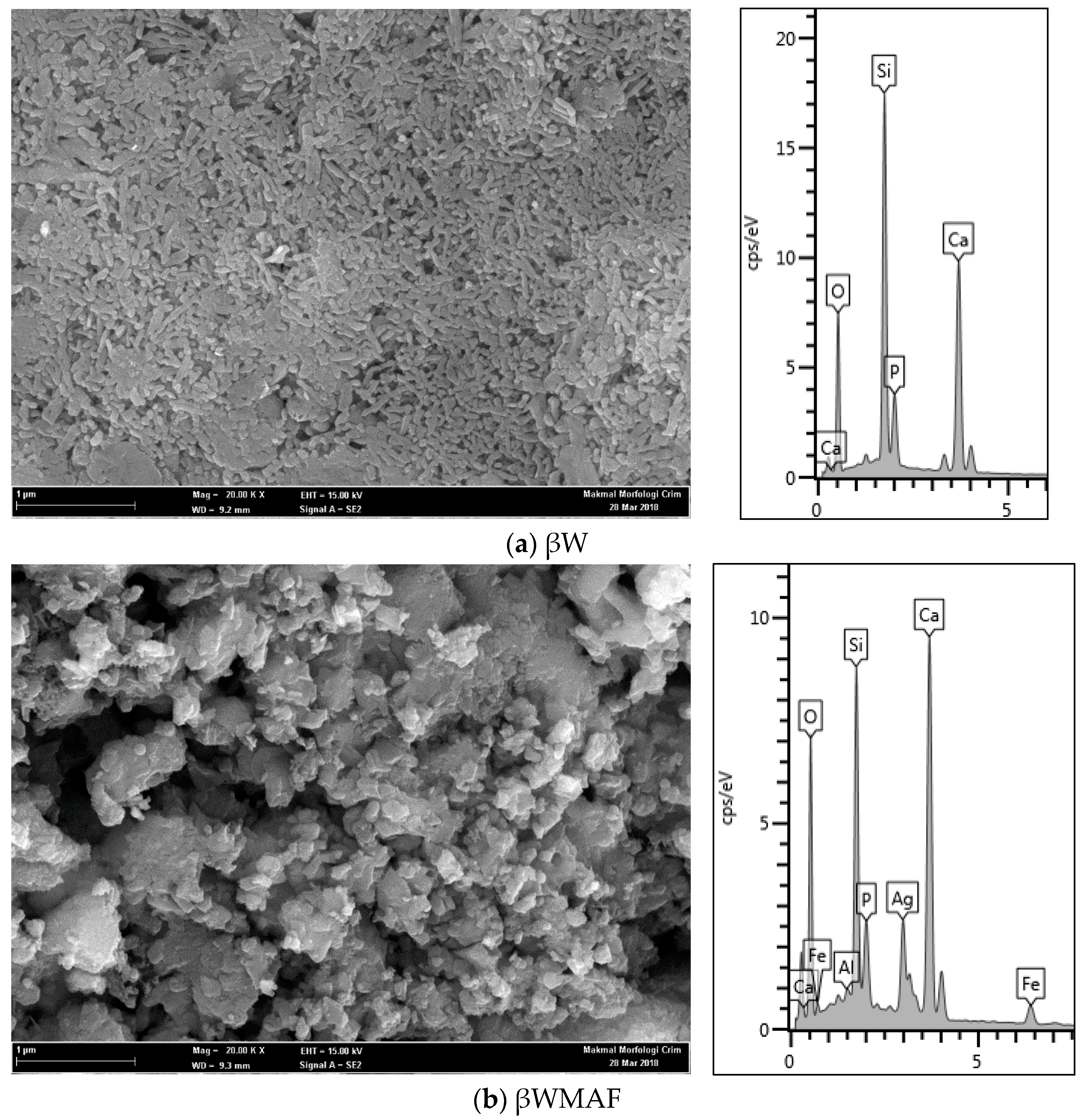 Materials 14 04643 g002 Materials 14 04643 g002