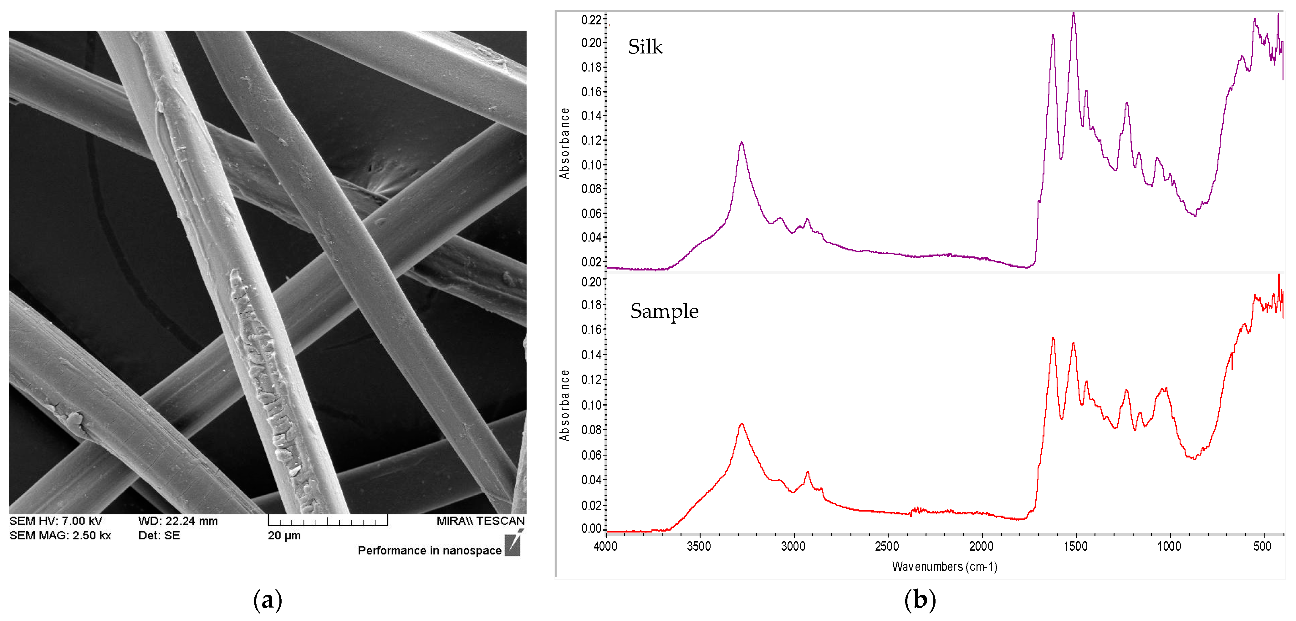 Materials 14 04650 g003
