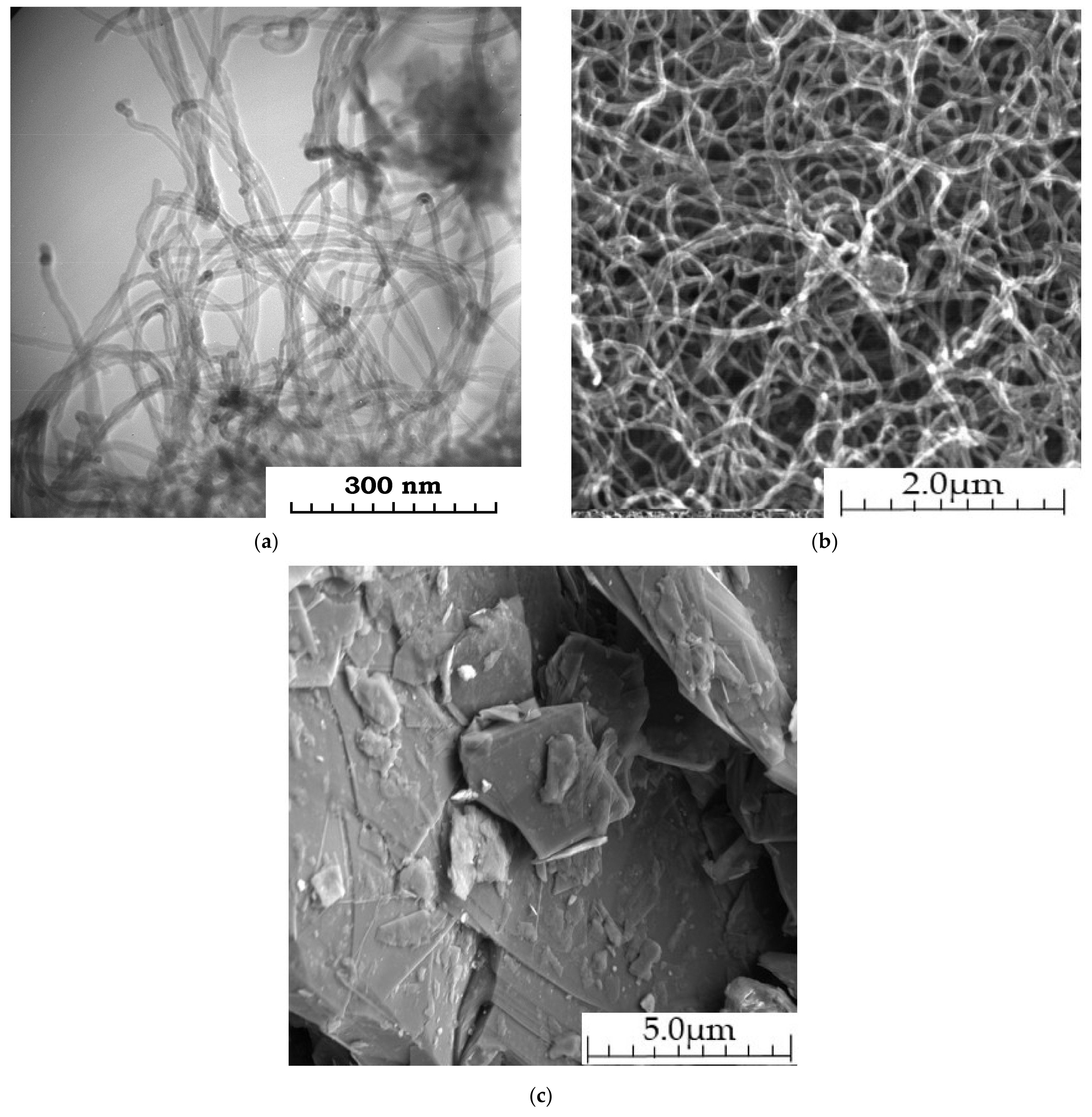 Materials 14 04654 g007 550