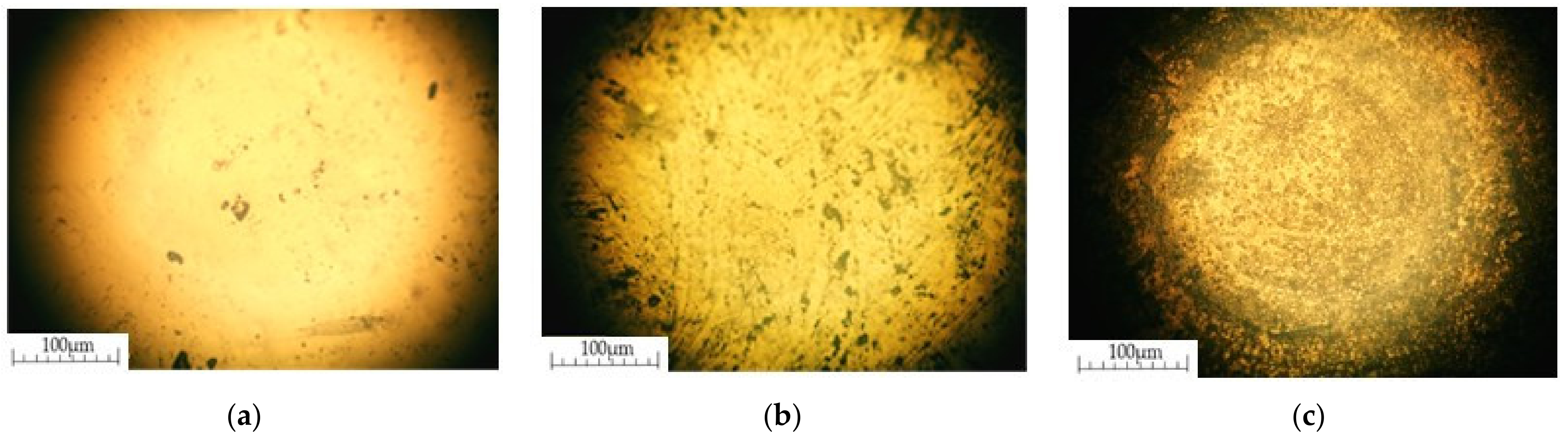 Materials 14 04654 g010 550