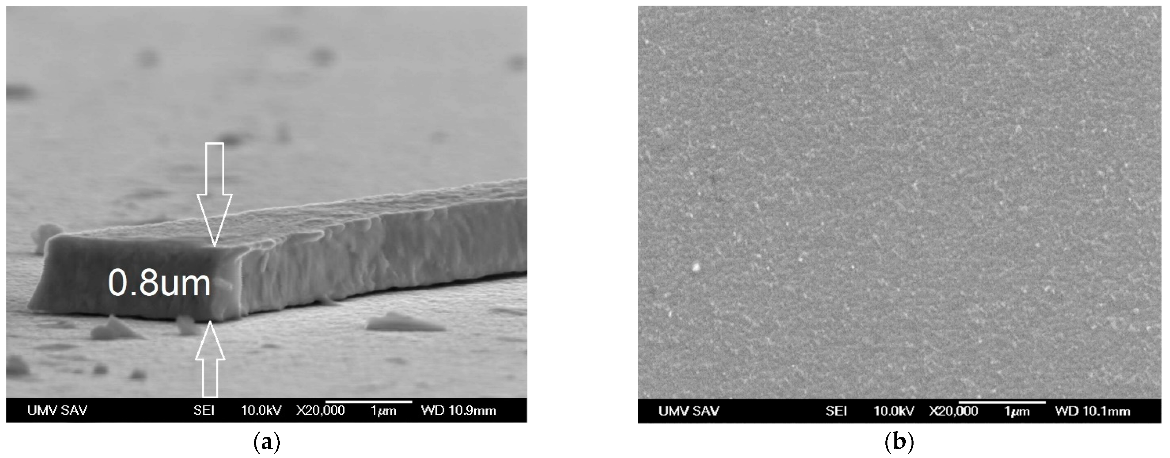 Materials 14 04658 g003a