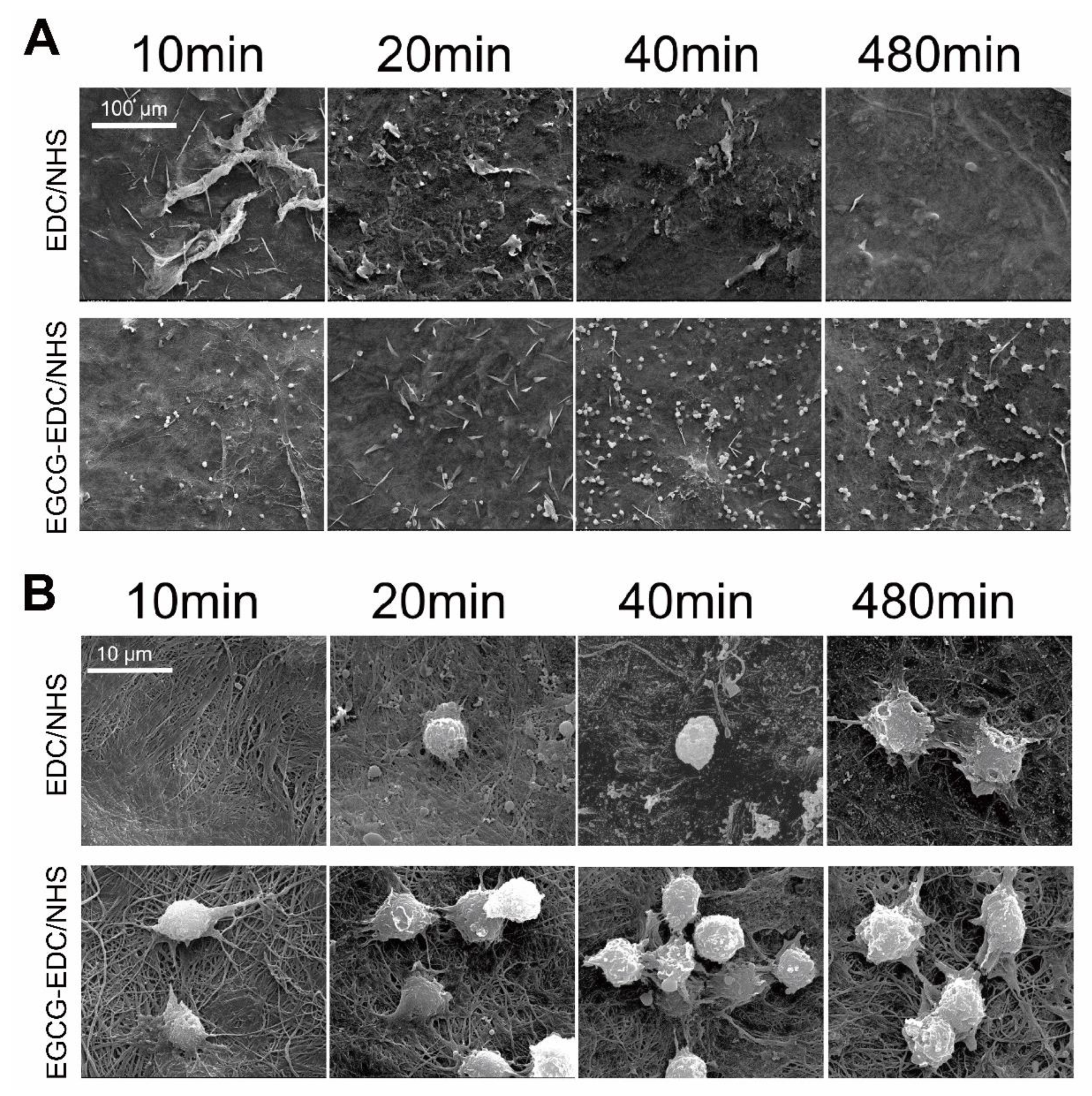 Materials 14 04660 g005a