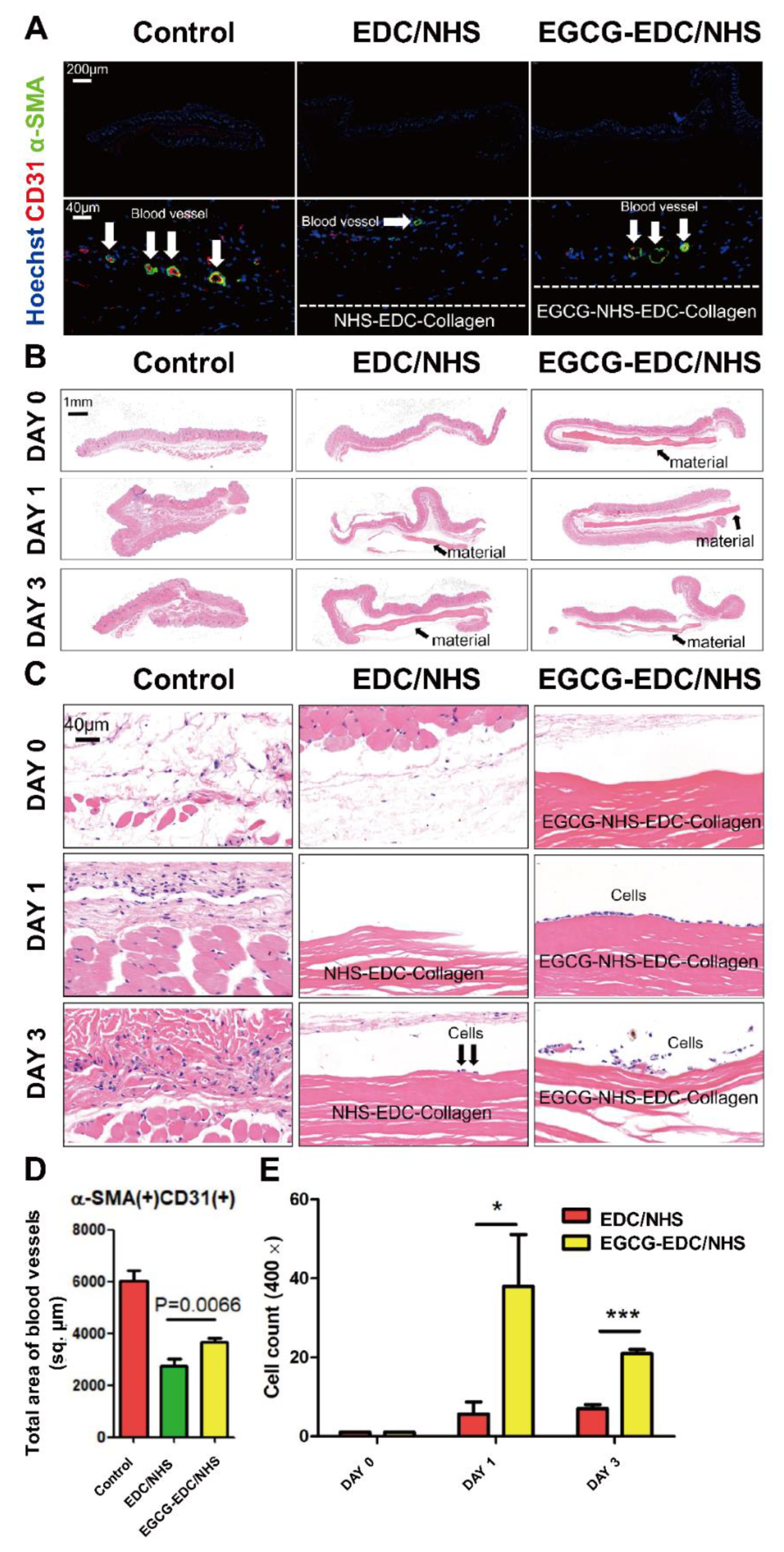 Materials 14 04660 g006
