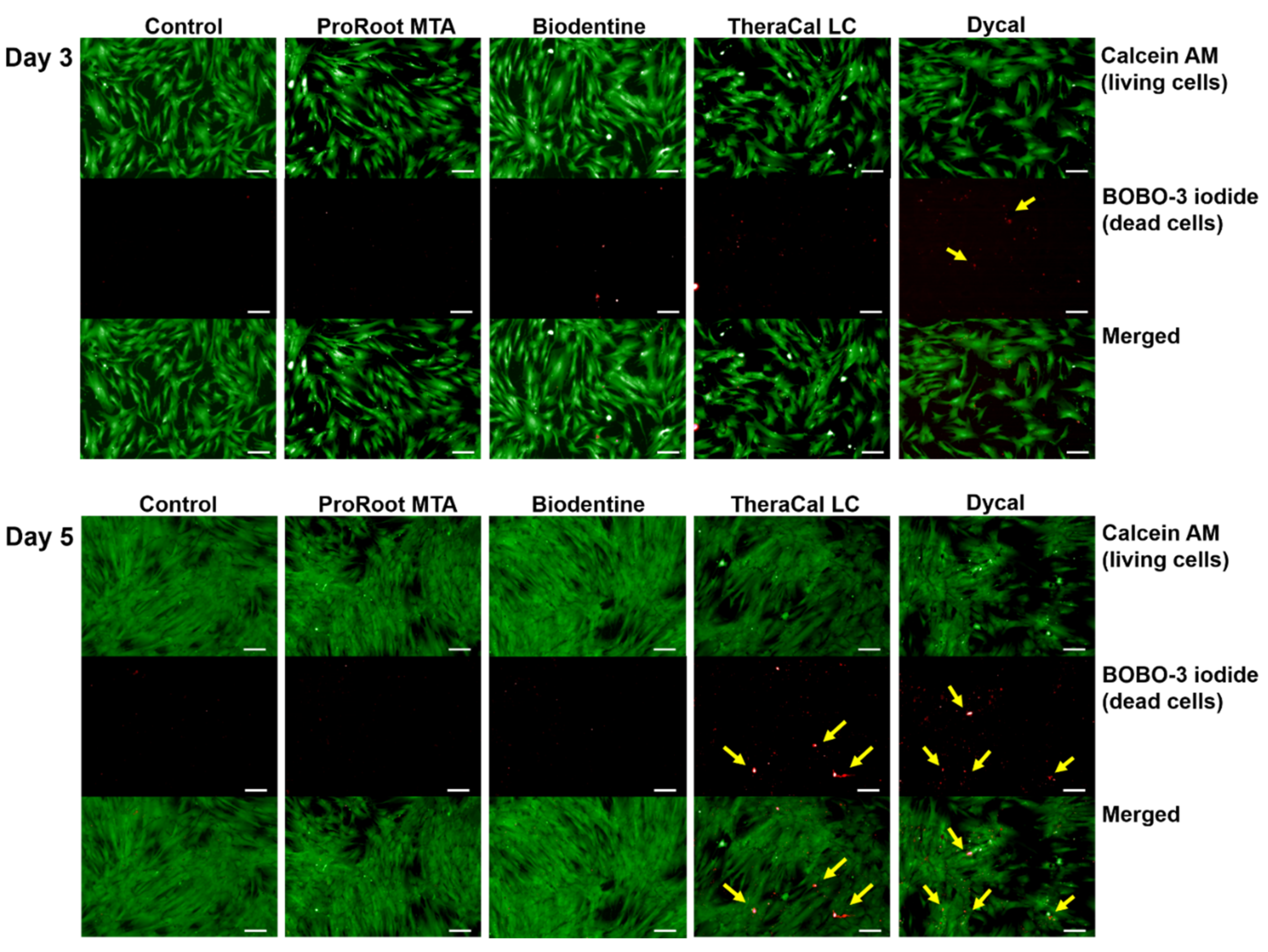 Materials 14 04661 g003