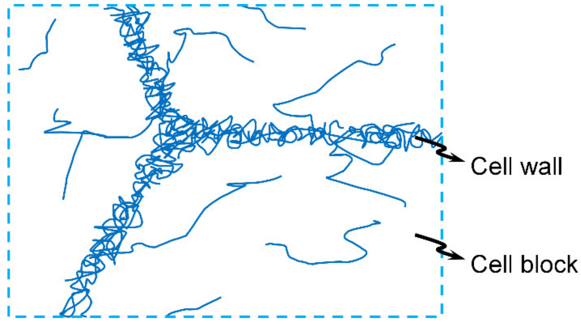 Materials 14 04667 g002 550