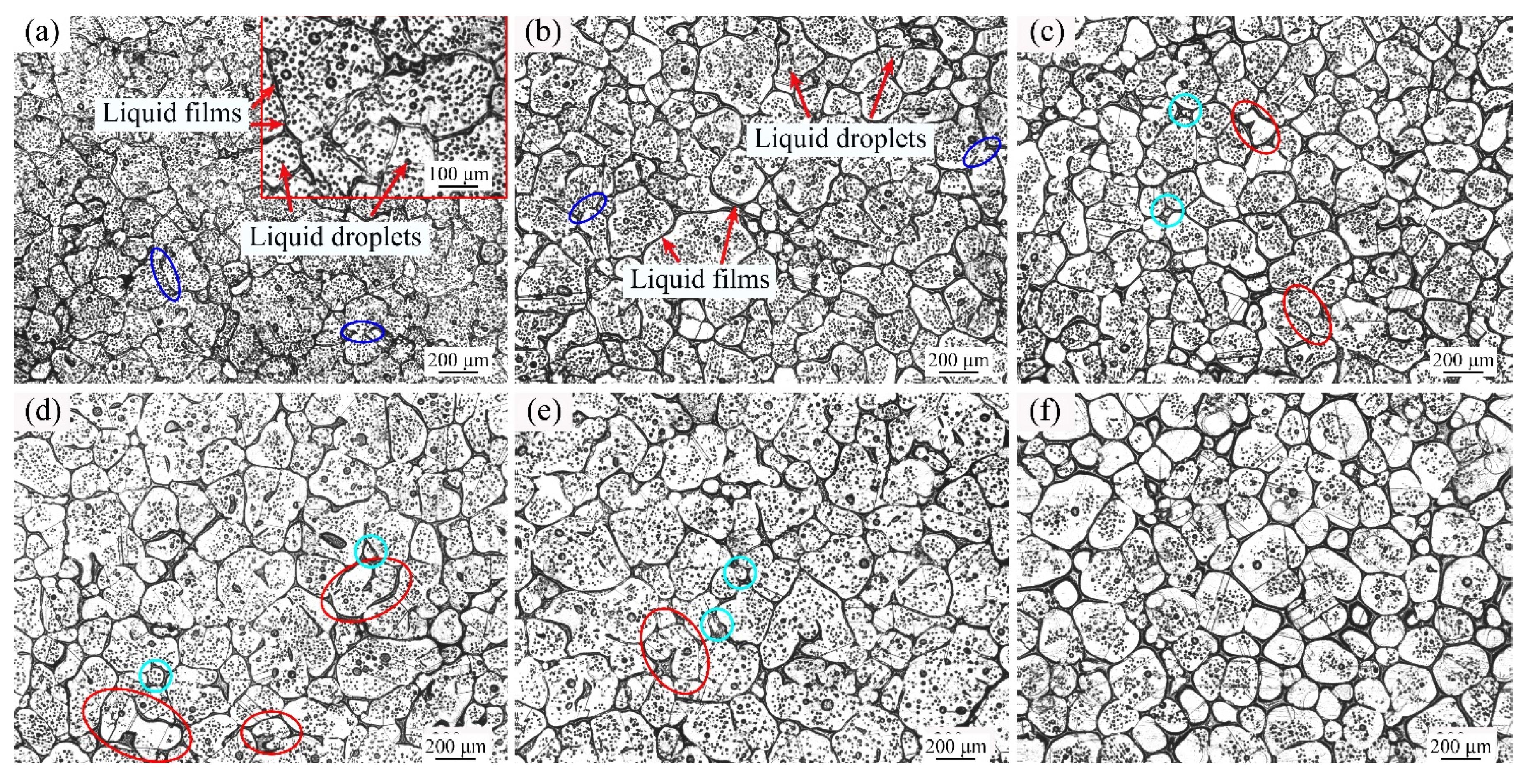 Materials 14 04668 g003