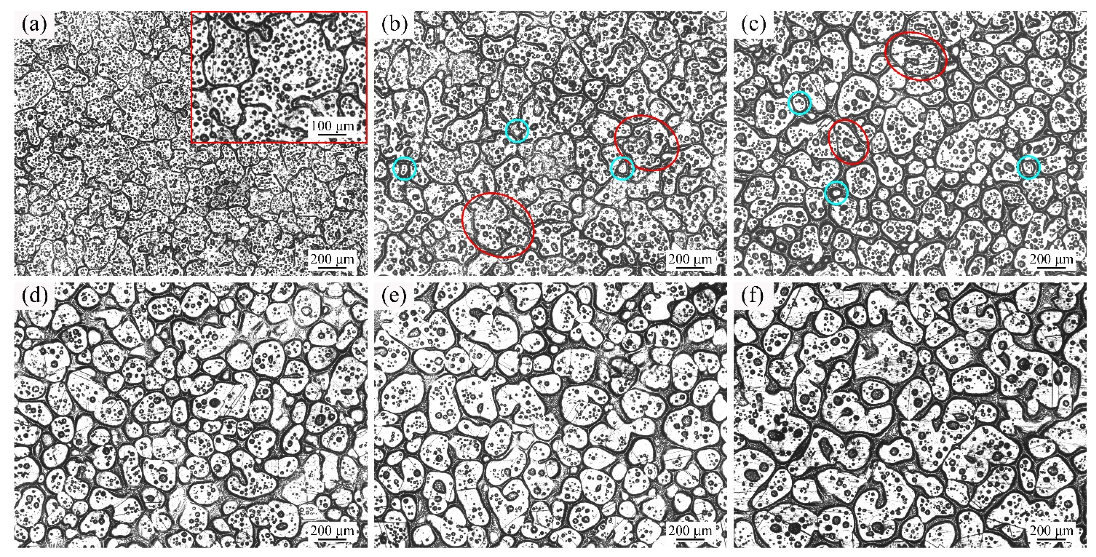 Materials 14 04668 g005