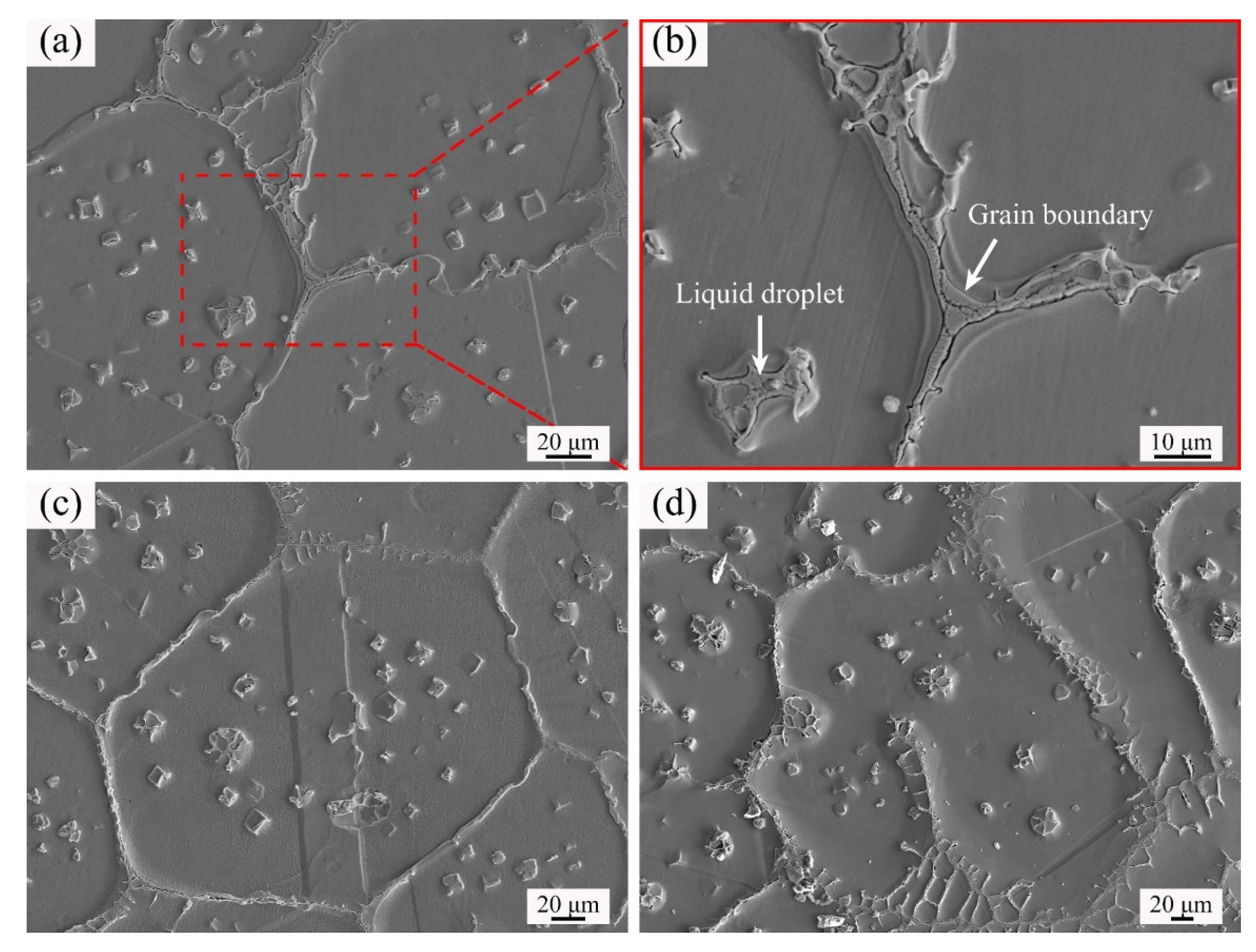 Materials 14 04668 g008