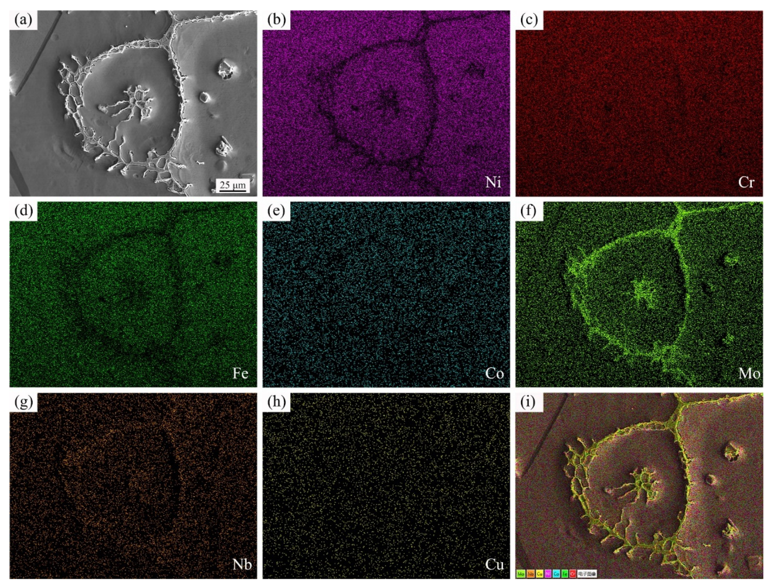 Materials 14 04668 g010