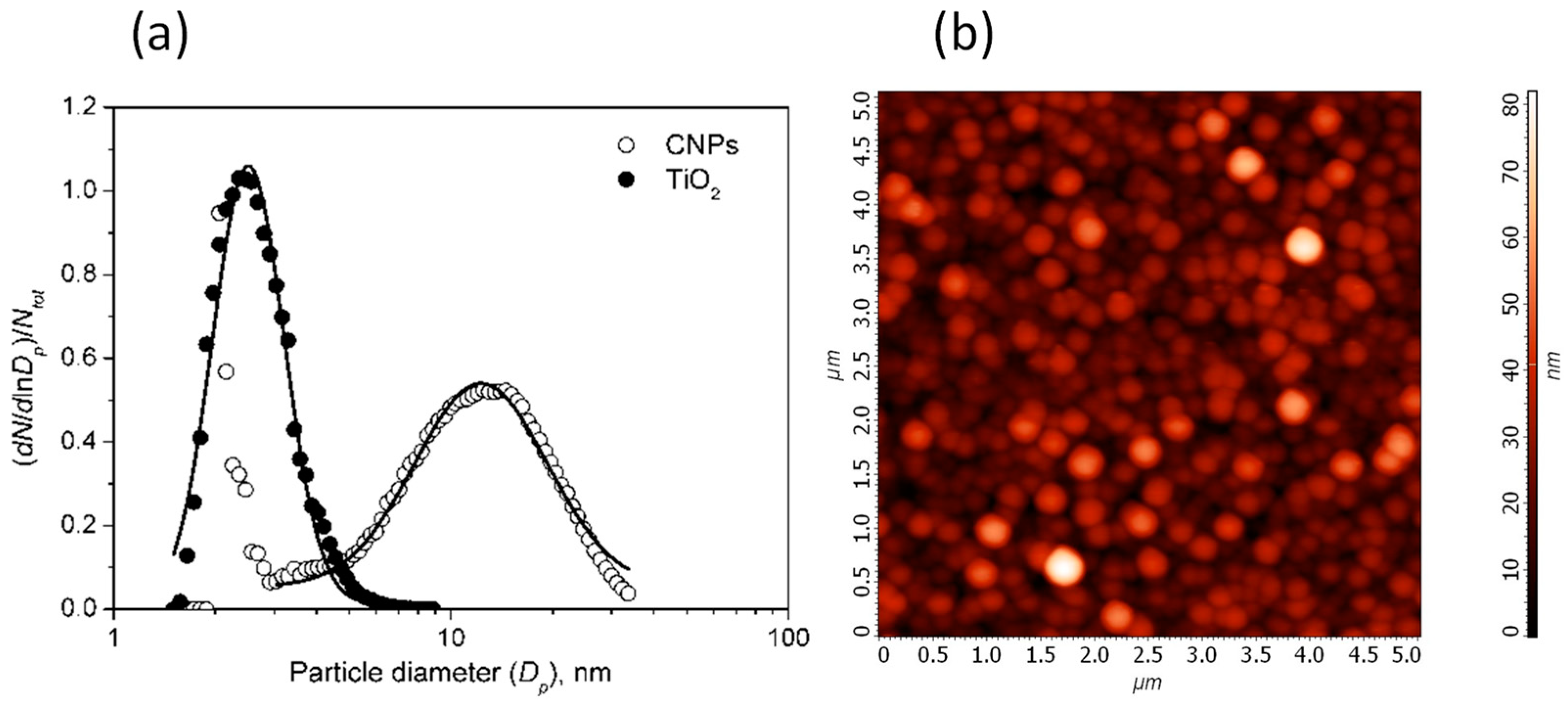 Materials 14 04672 g002
