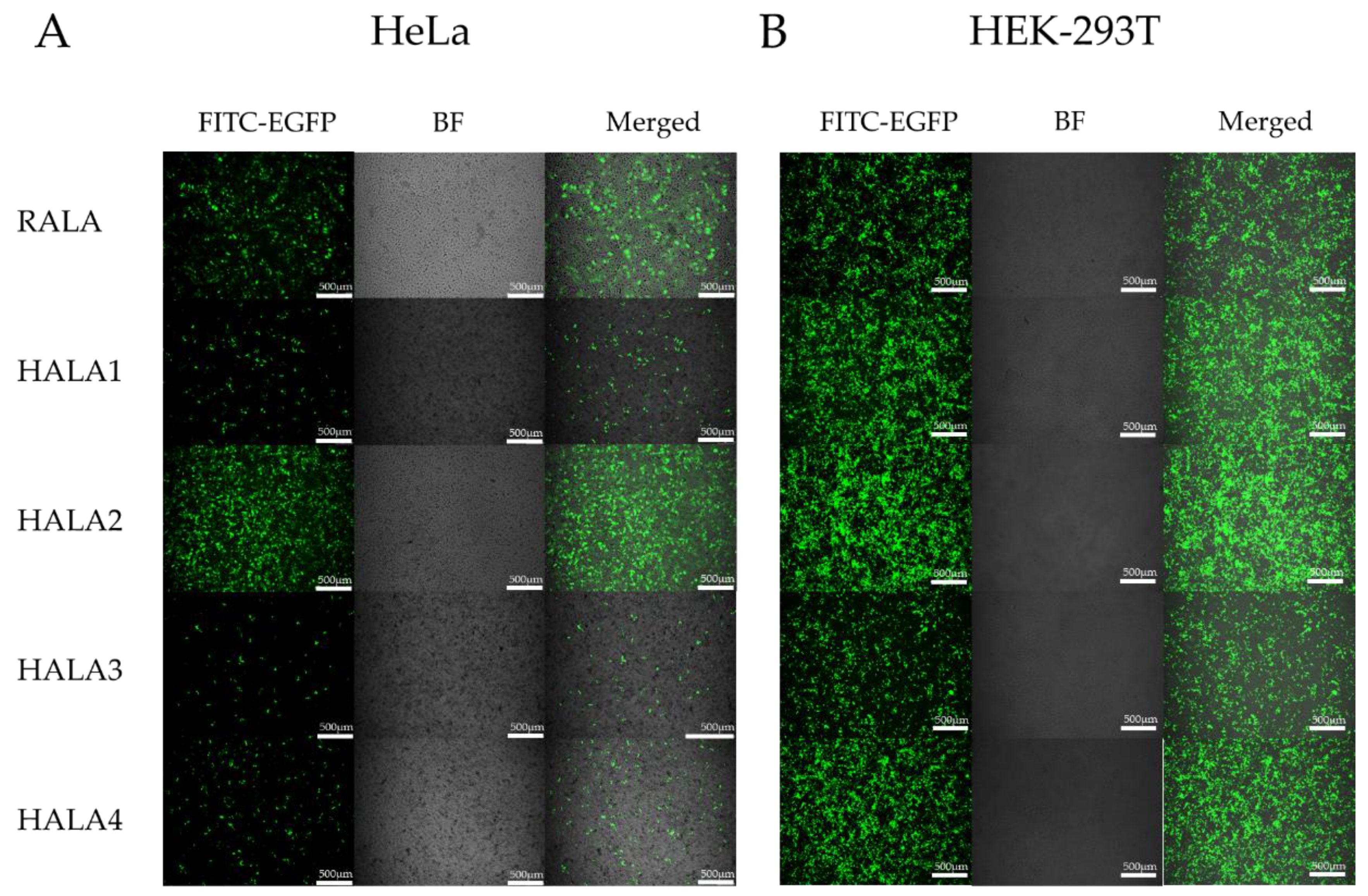 Materials 14 04674 g005 550