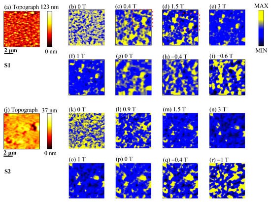 Design, Synthesis, and Biological Evaluation of 2