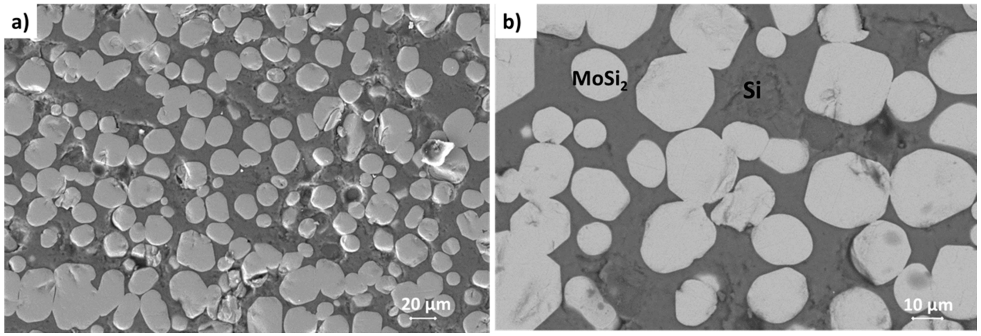 Materials 14 04687 g009 550