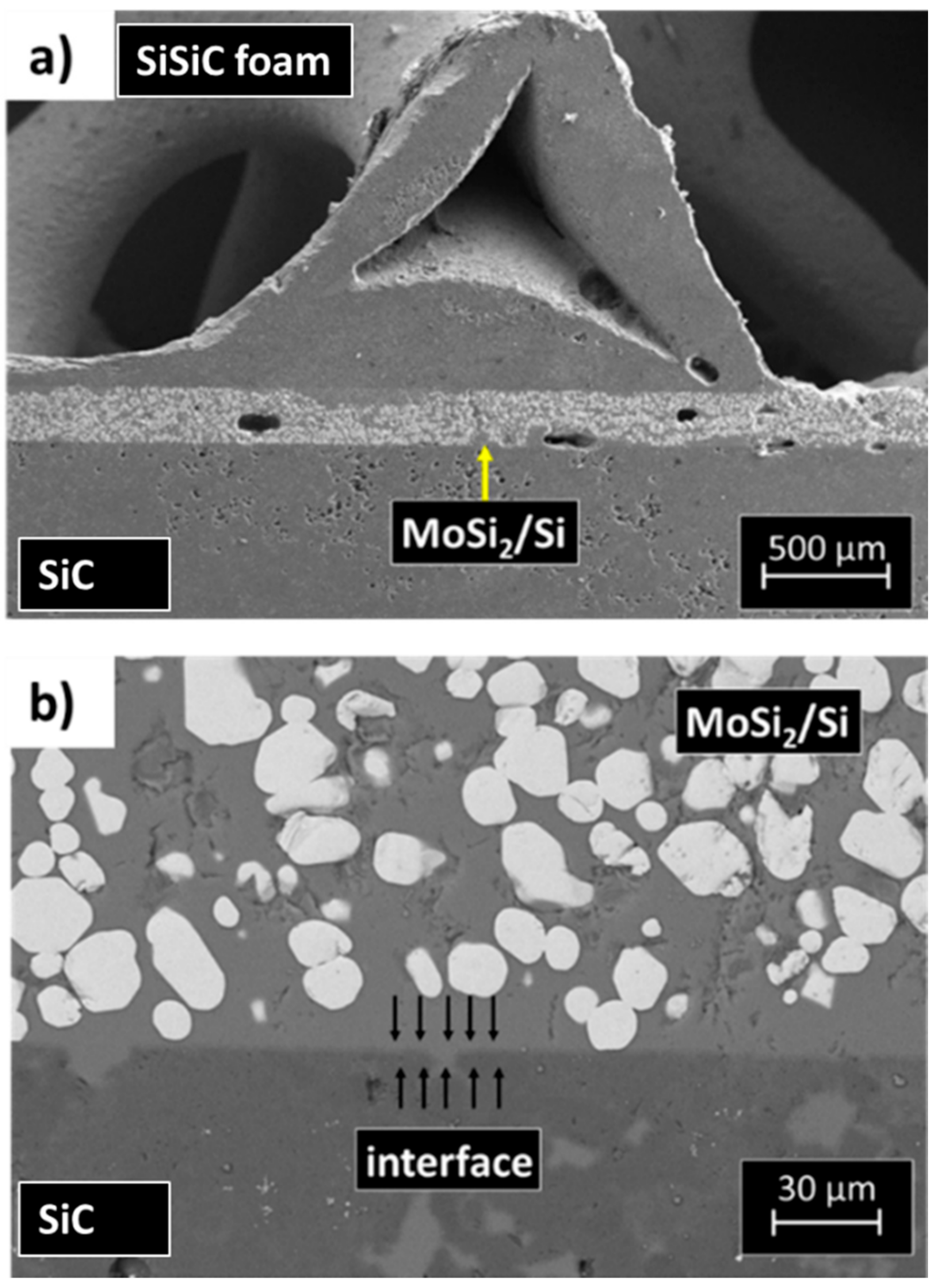 Materials 14 04687 g010 550