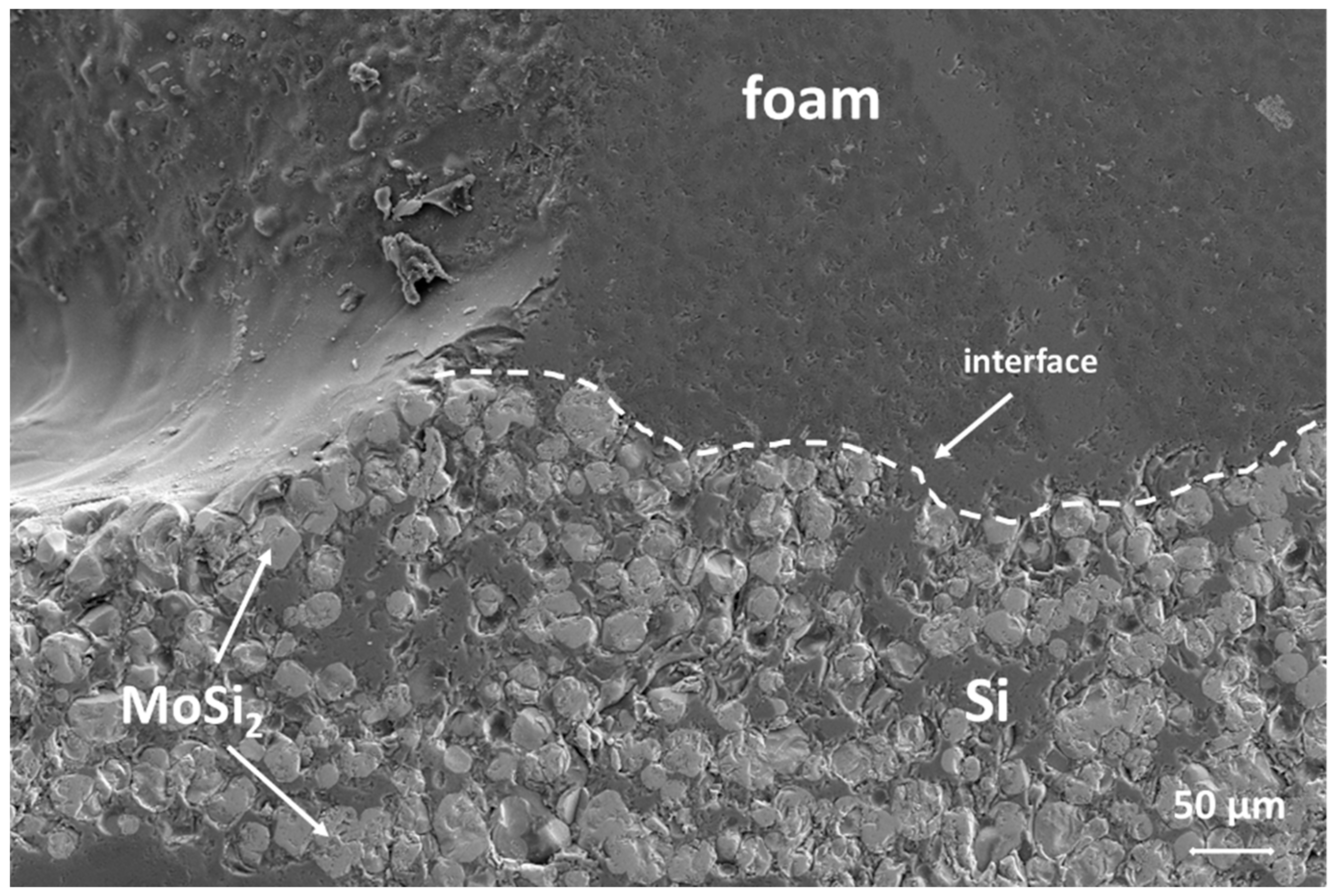 Materials 14 04687 g012 550