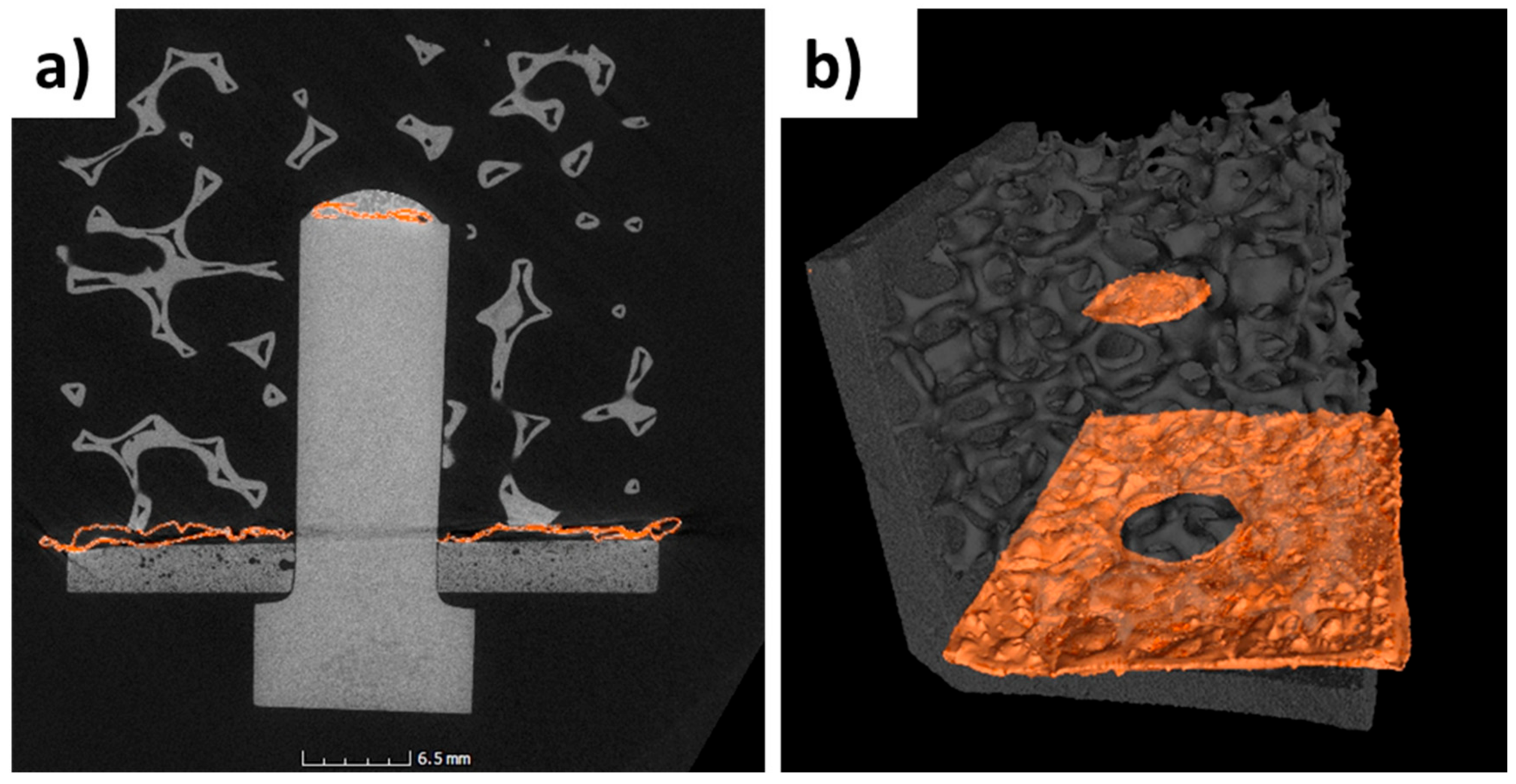 Materials 14 04687 g014 550