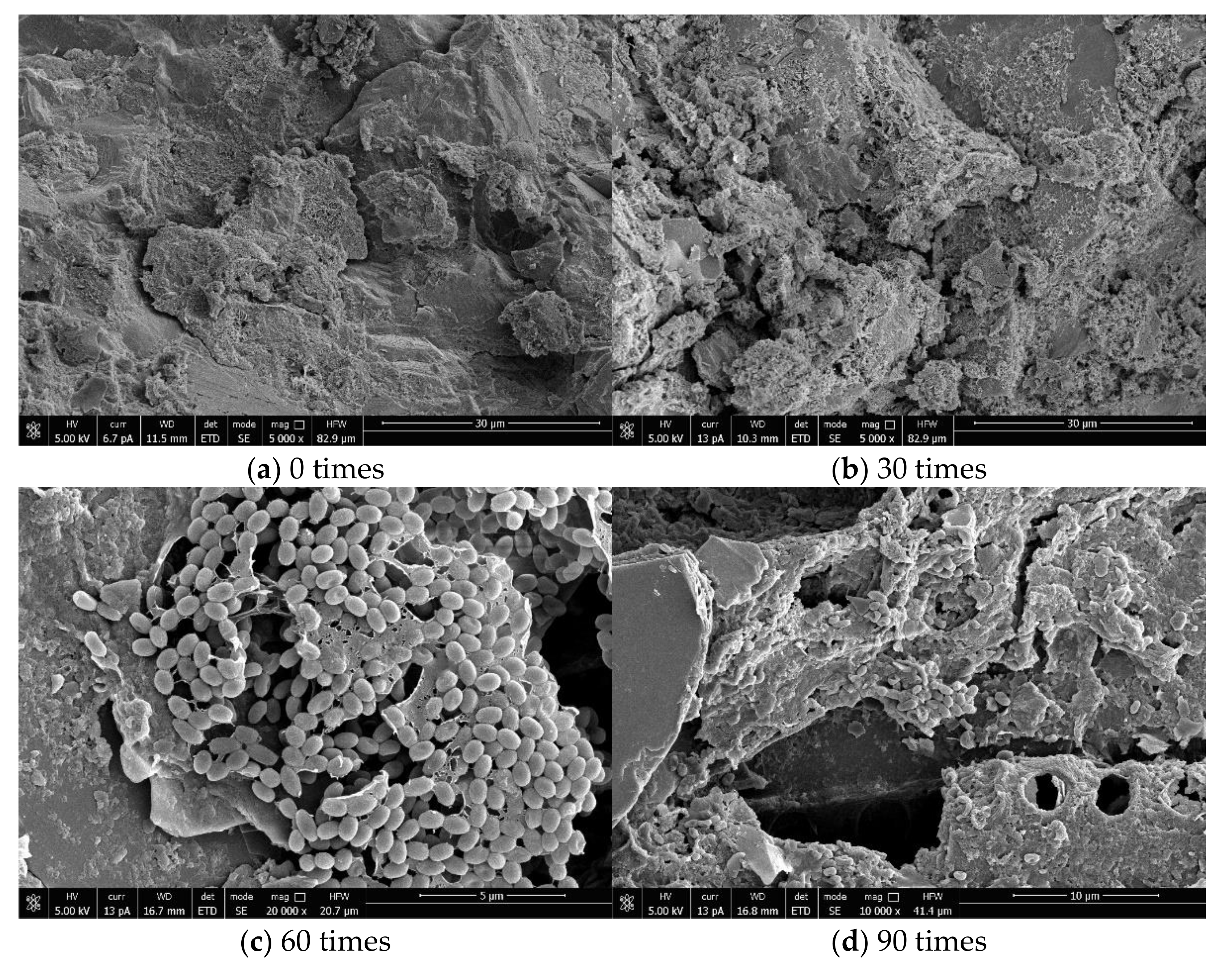 Materials 14 04706 g005 550