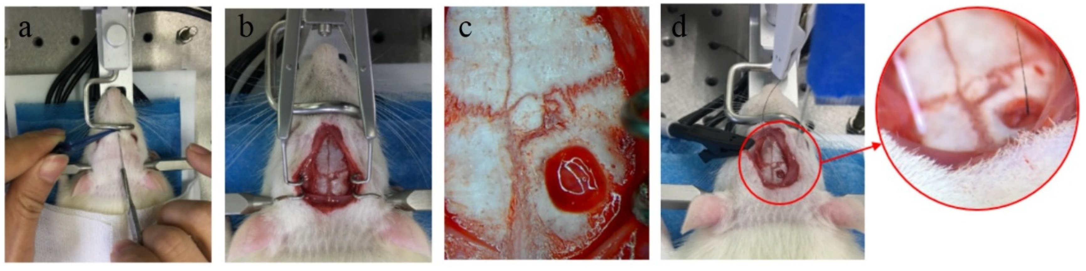 Materials 14 04718 g002 550