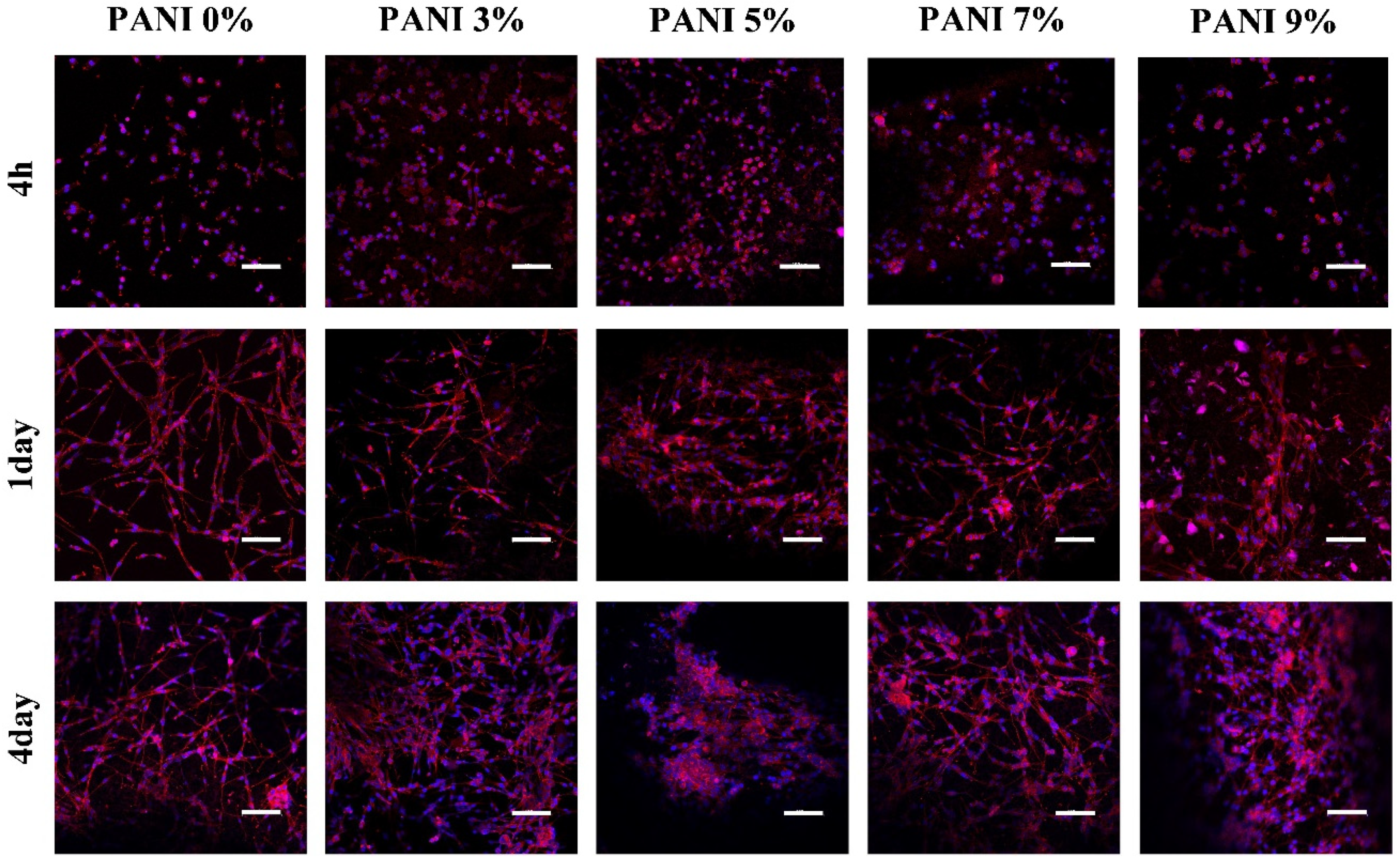 Materials 14 04718 g007 550
