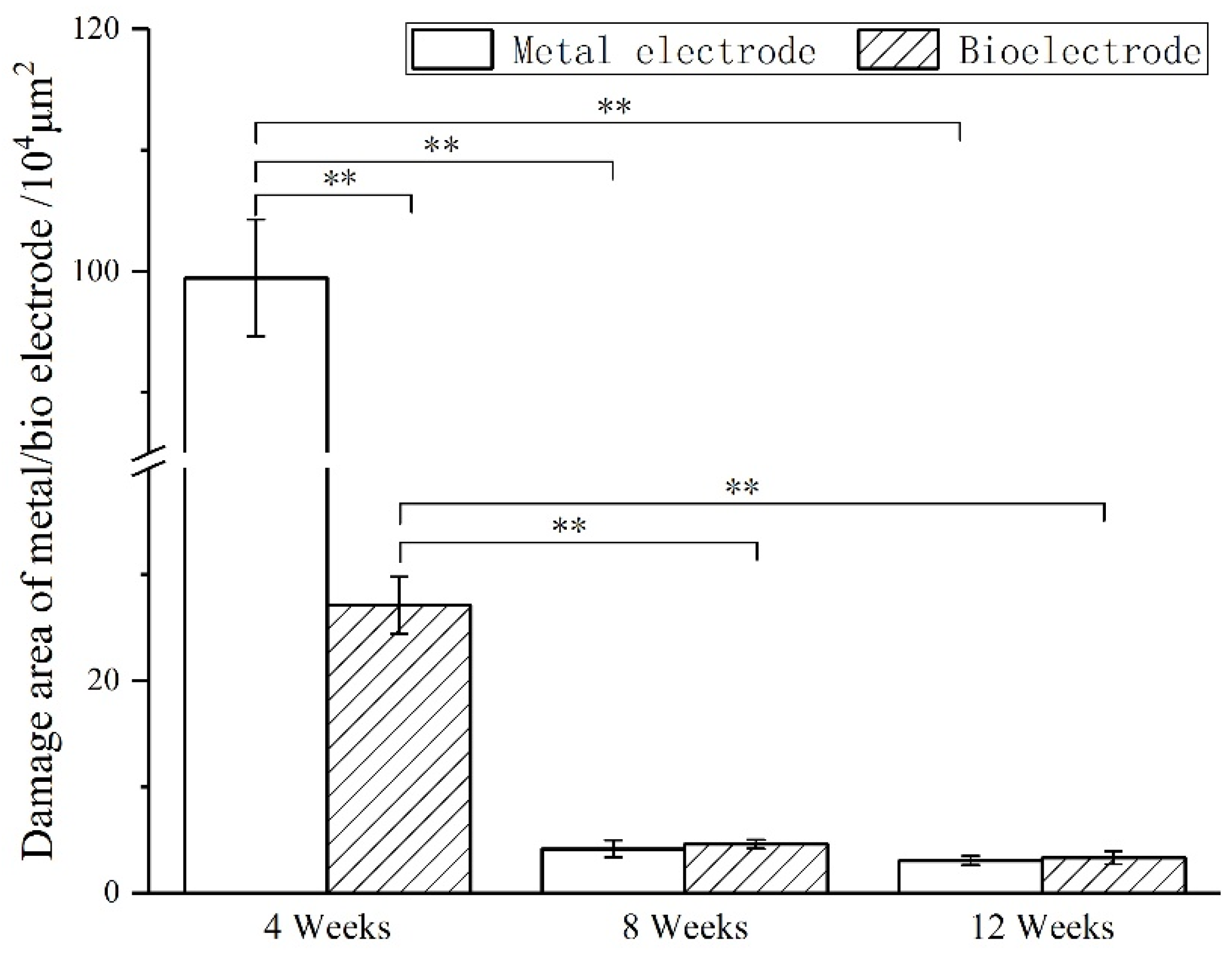 Materials 14 04718 g008 550