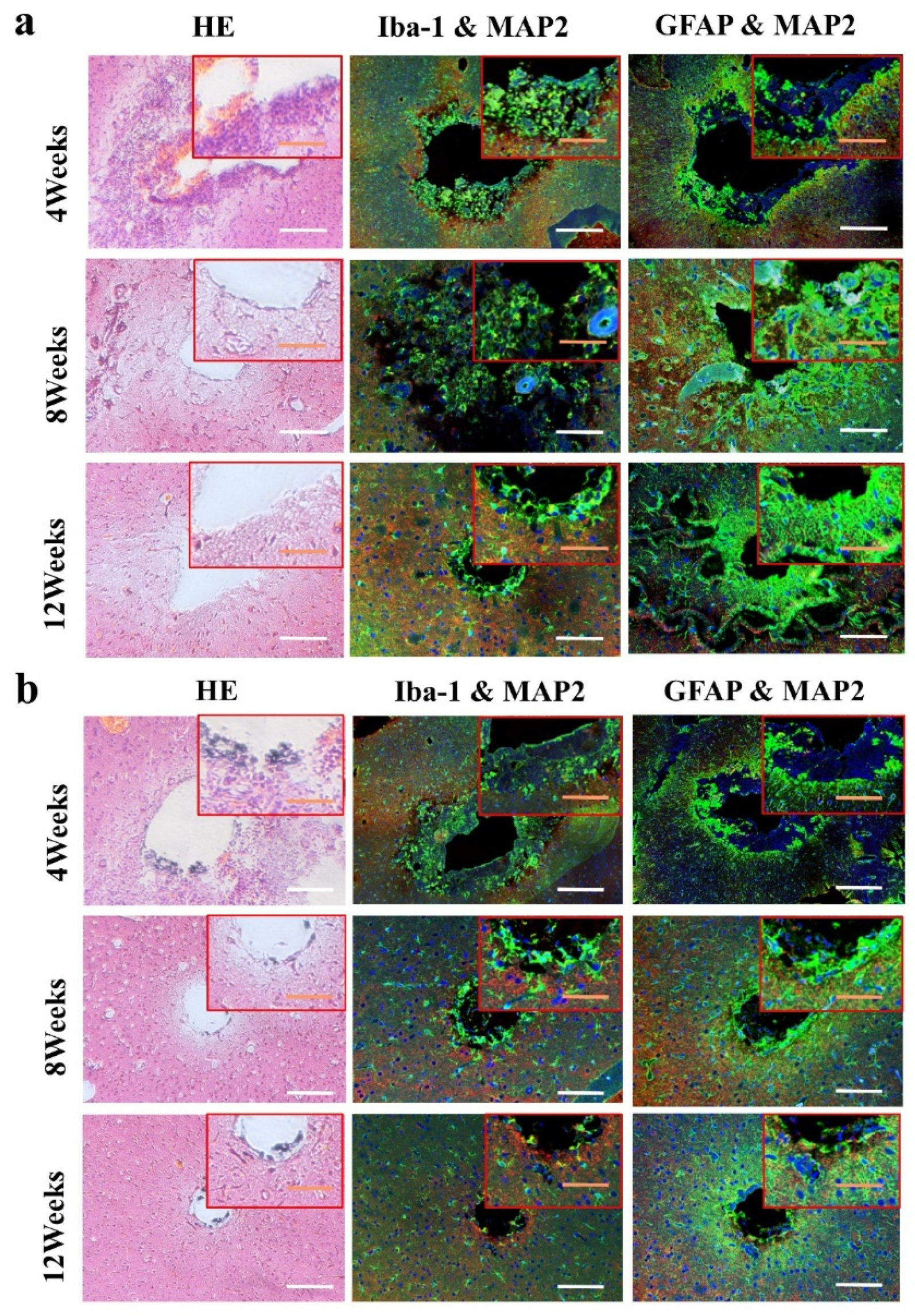 Materials 14 04718 g010 550
