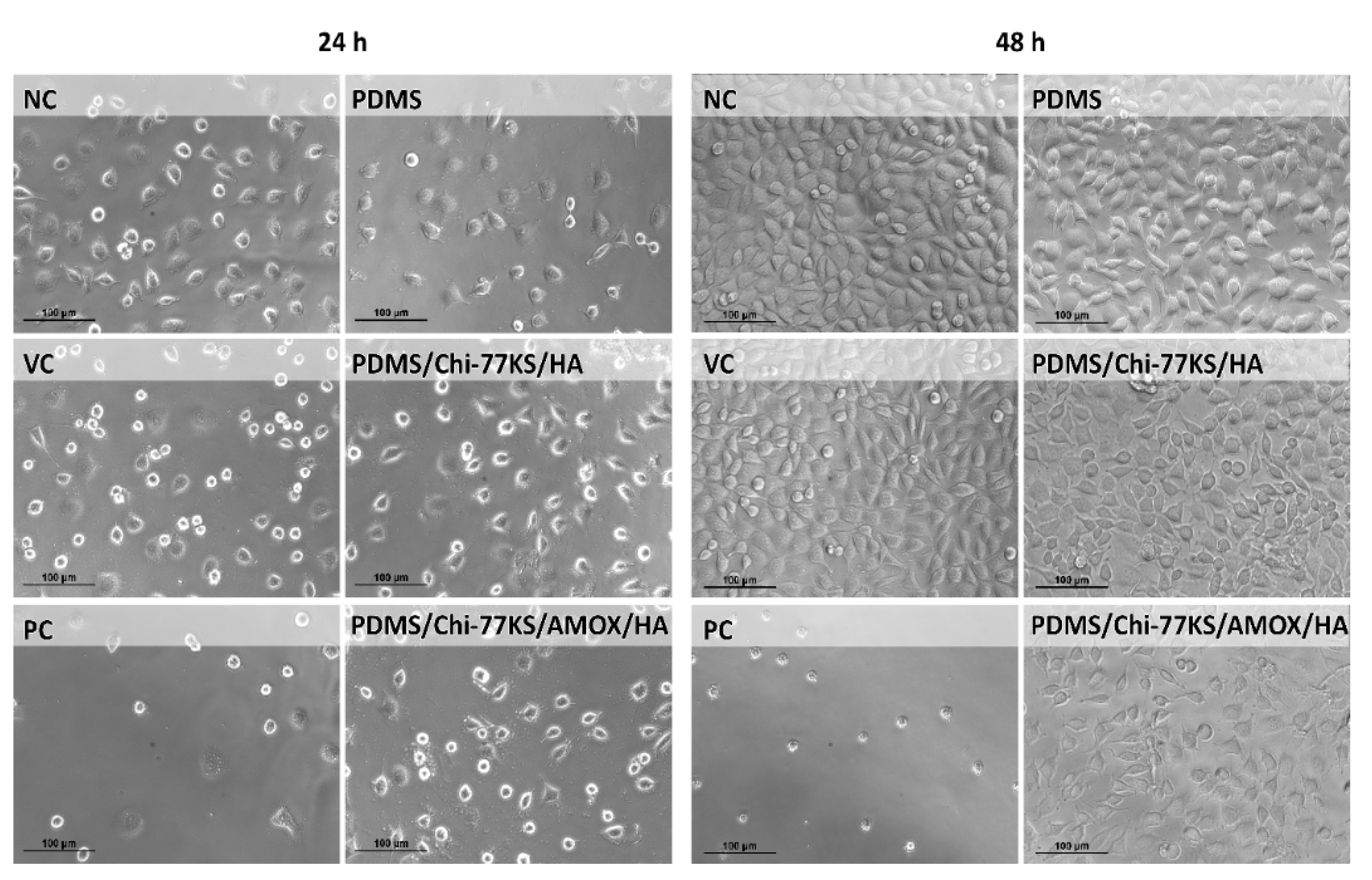 Materials 14 04720 g013 550