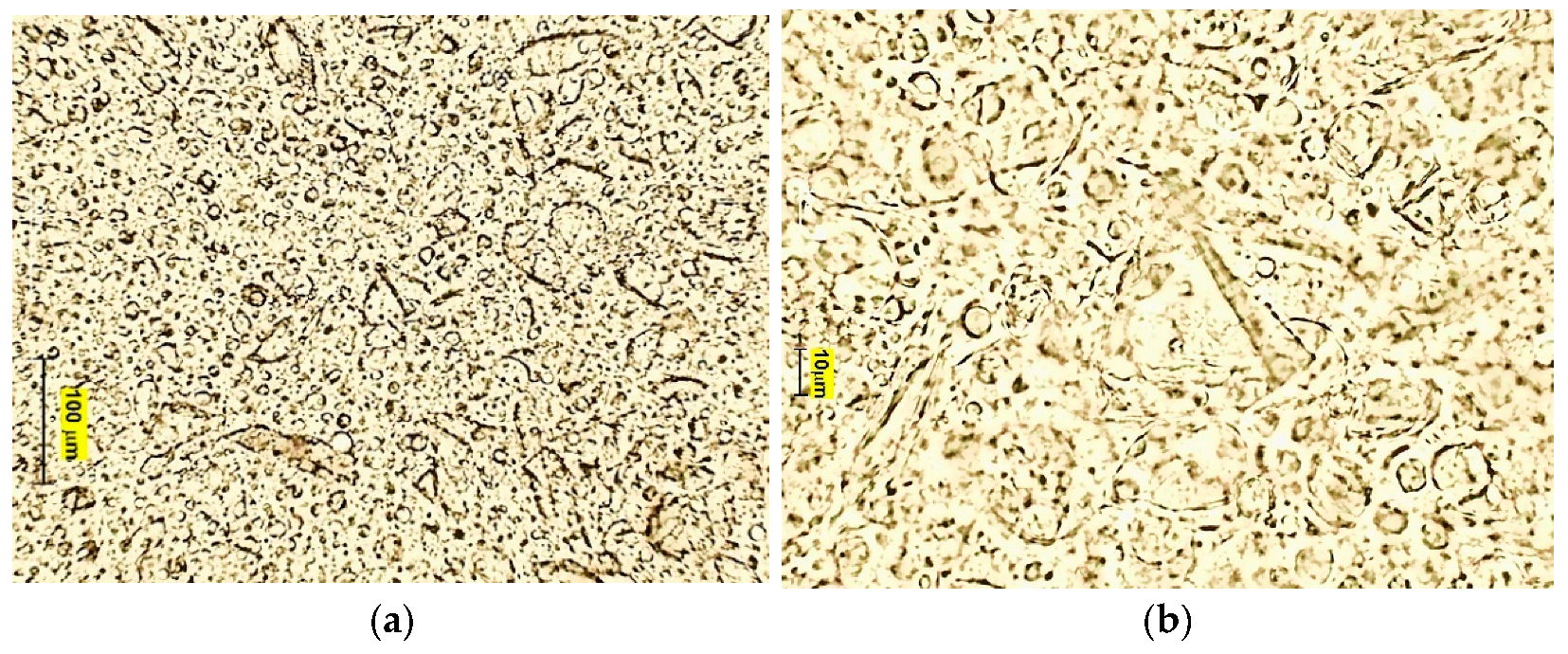 Materials 14 04723 g006