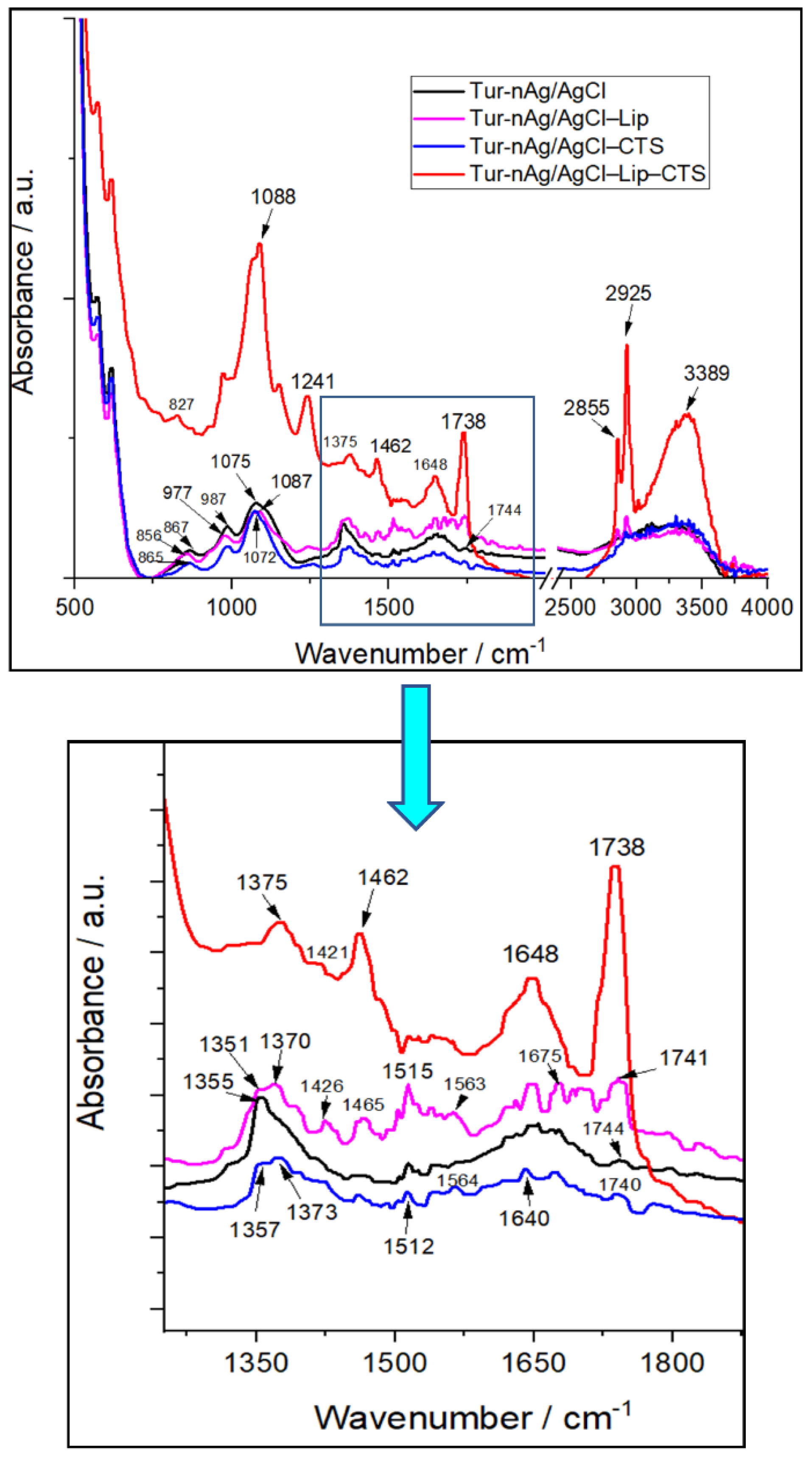 Materials 14 04726 g002 550
