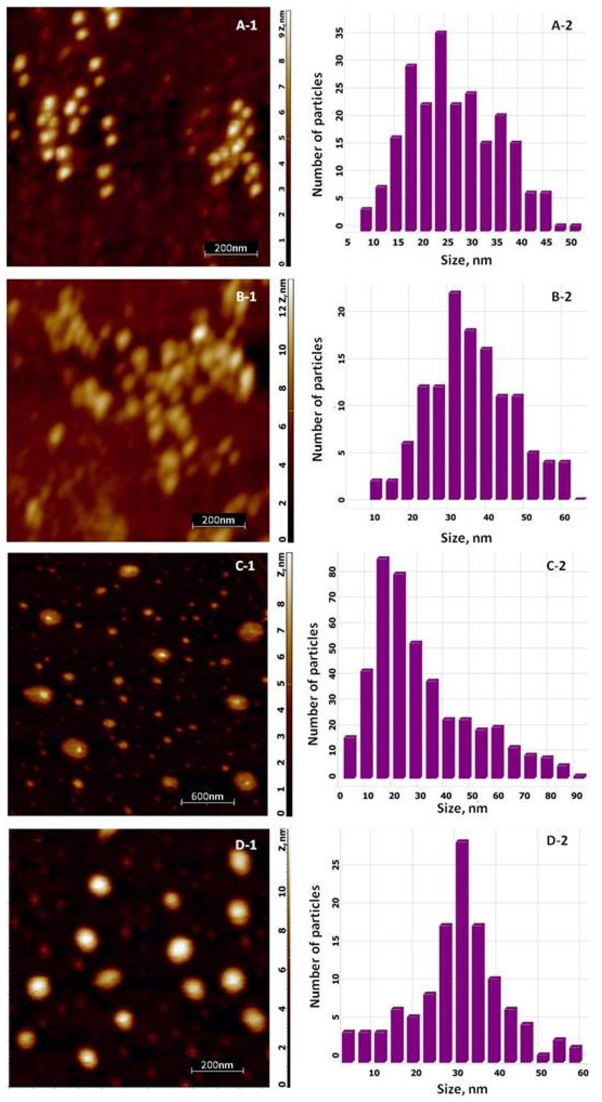 Materials 14 04726 g005 550