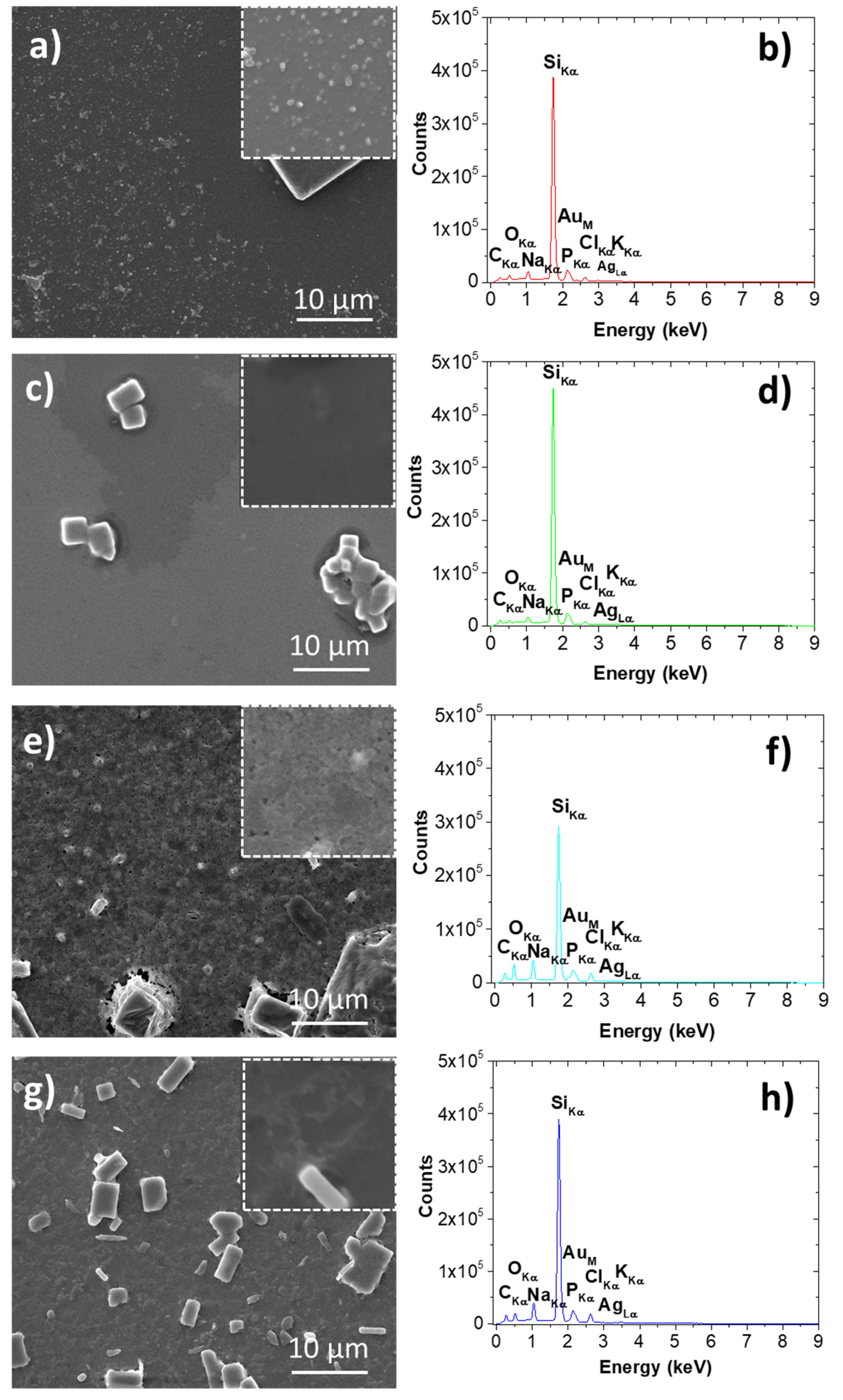 Materials 14 04726 g006 550