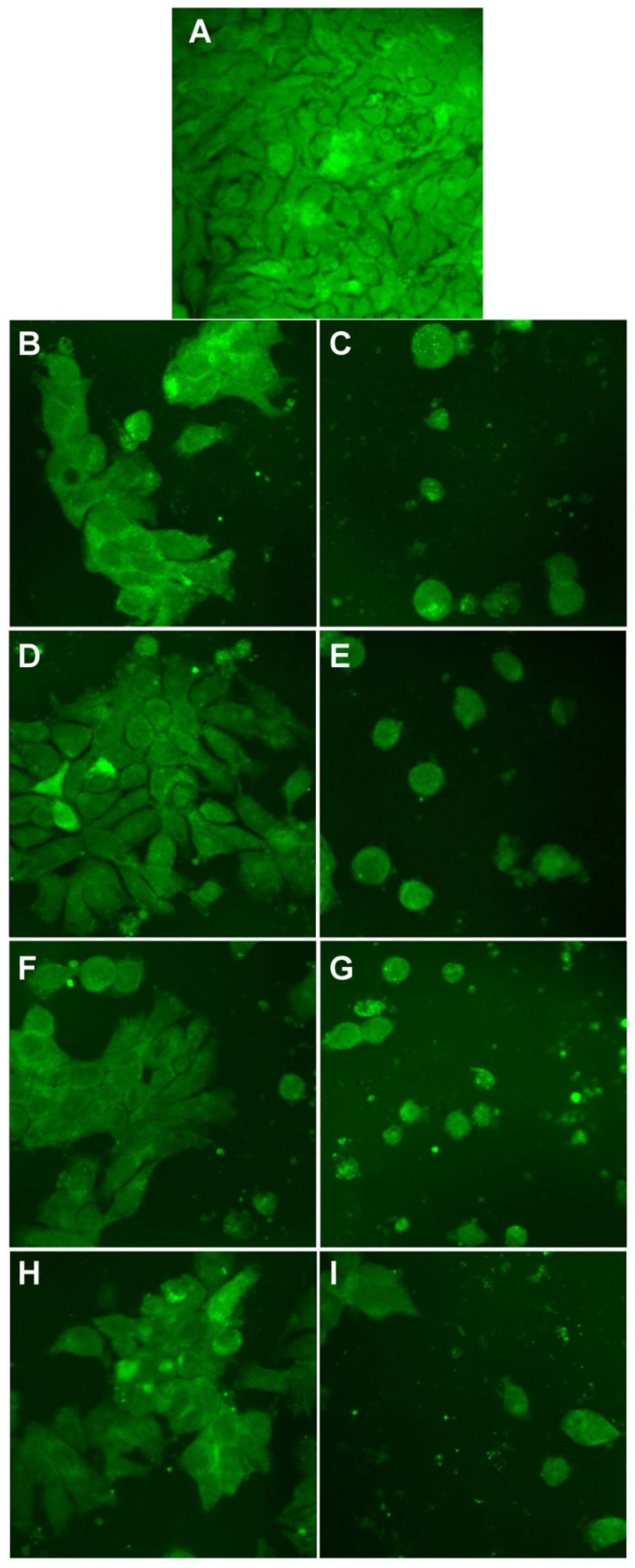 Materials 14 04726 g014 550