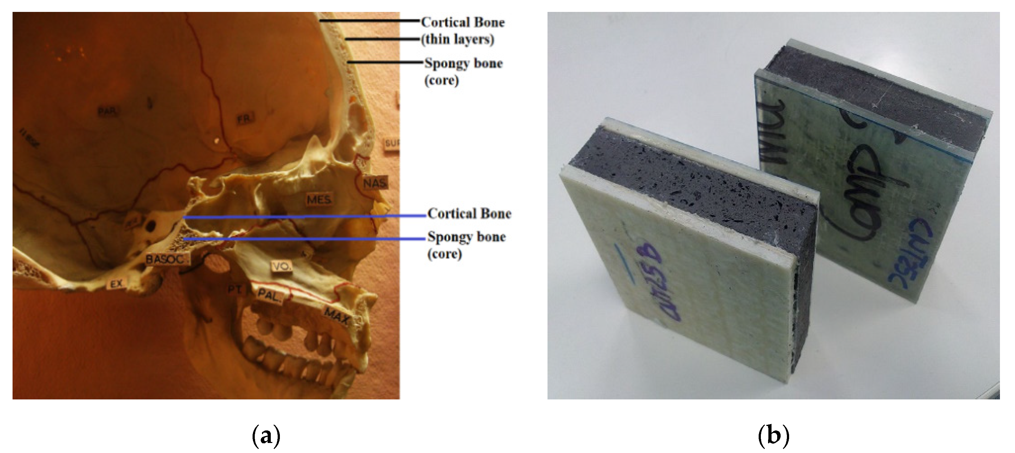 Materials 14 04731 g002