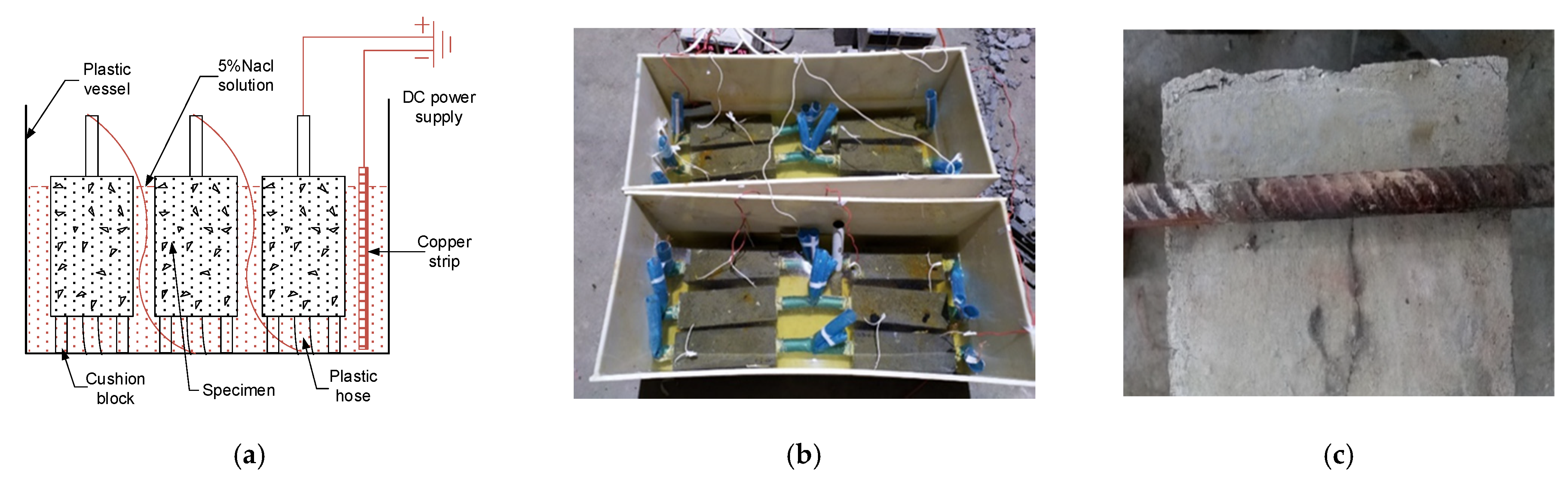 Materials 14 04732 g005 550