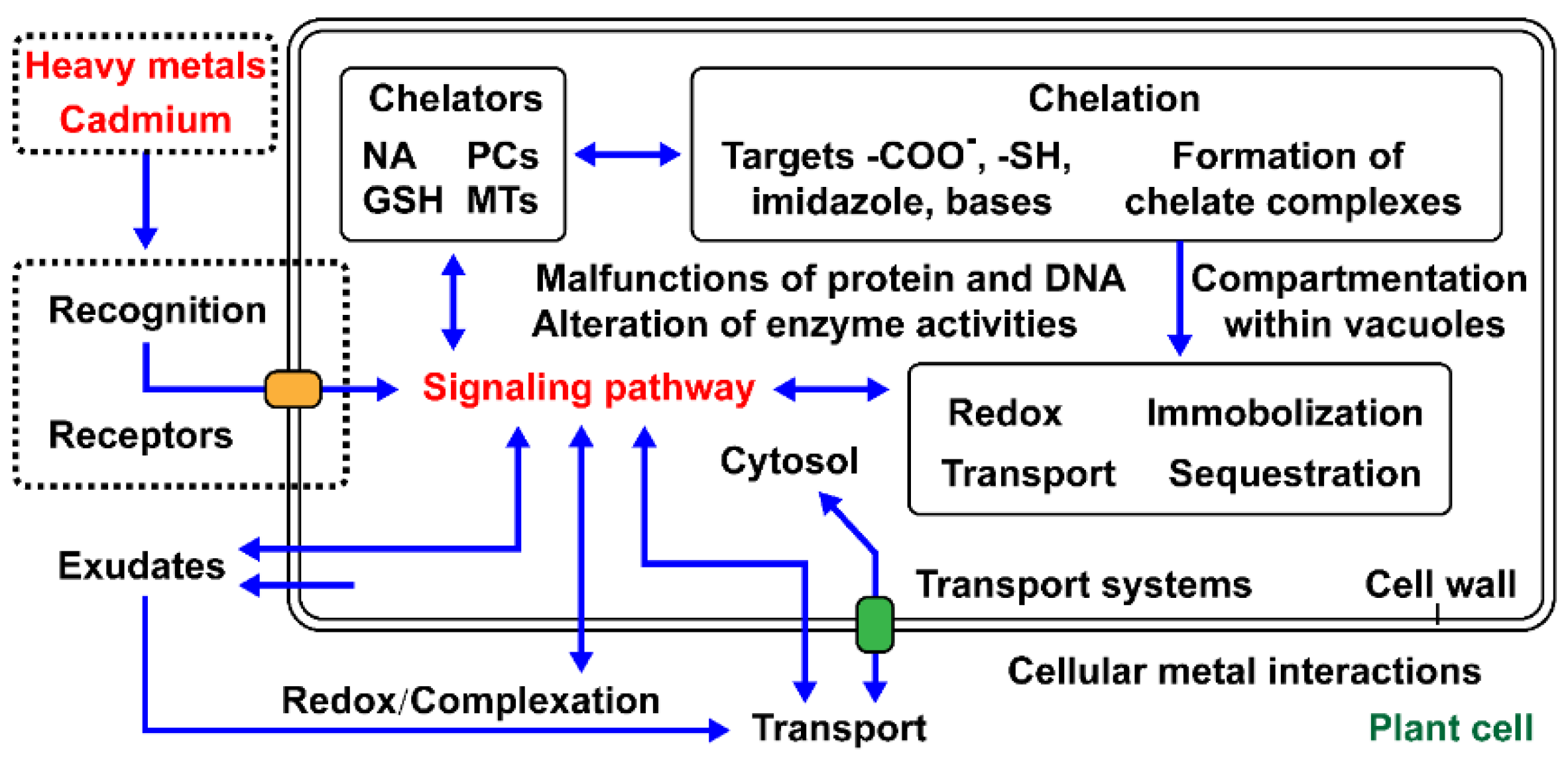 Materials 14 04734 g002 550