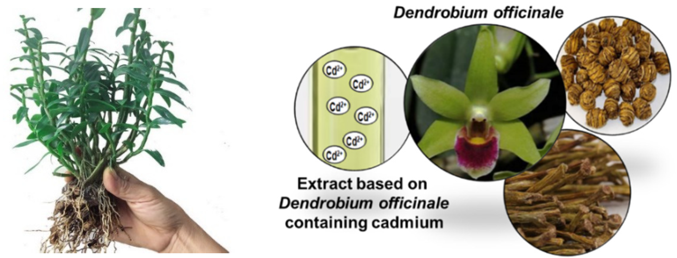 Materials 14 04734 g003 550