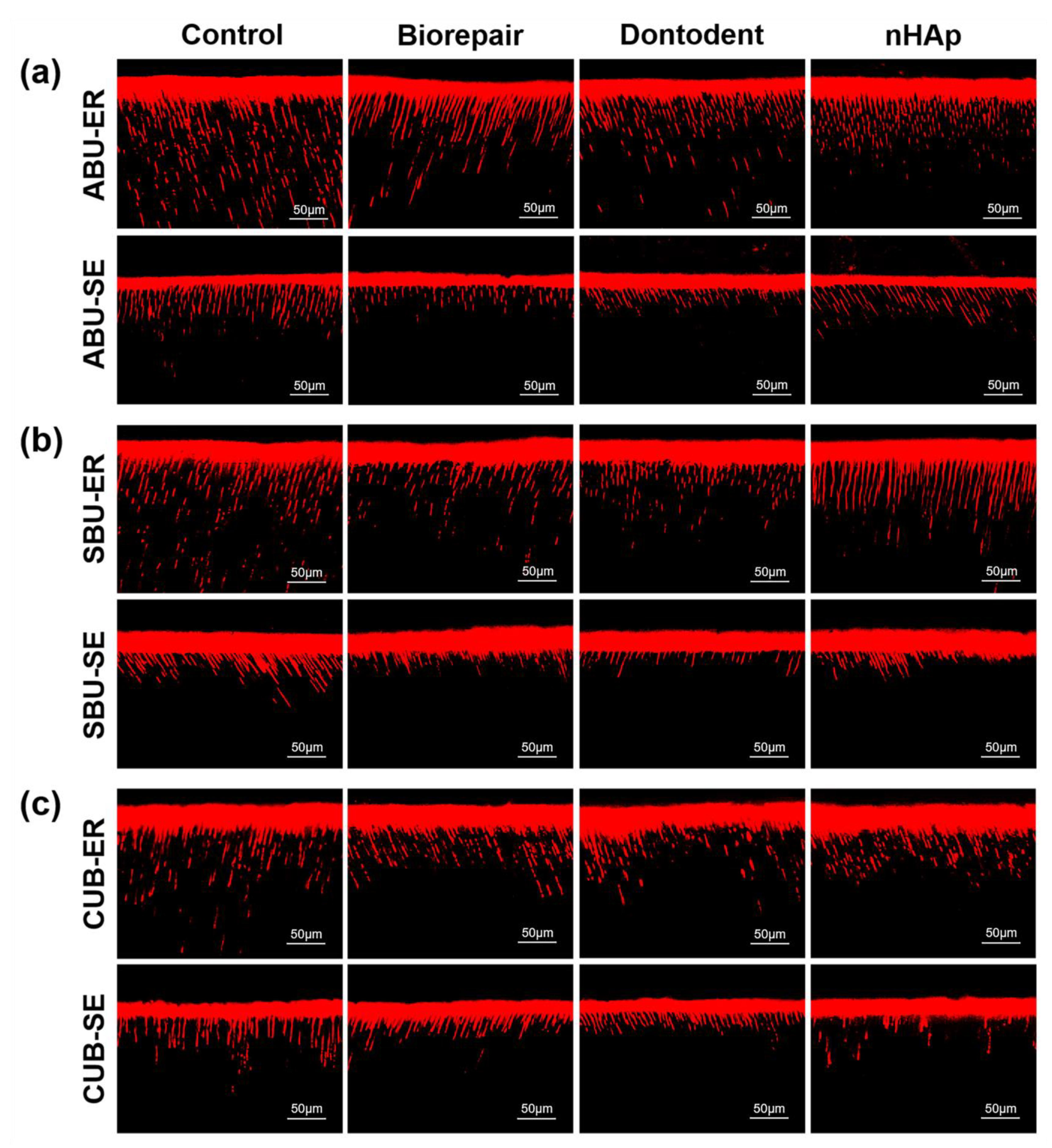 Materials 14 04746 g007