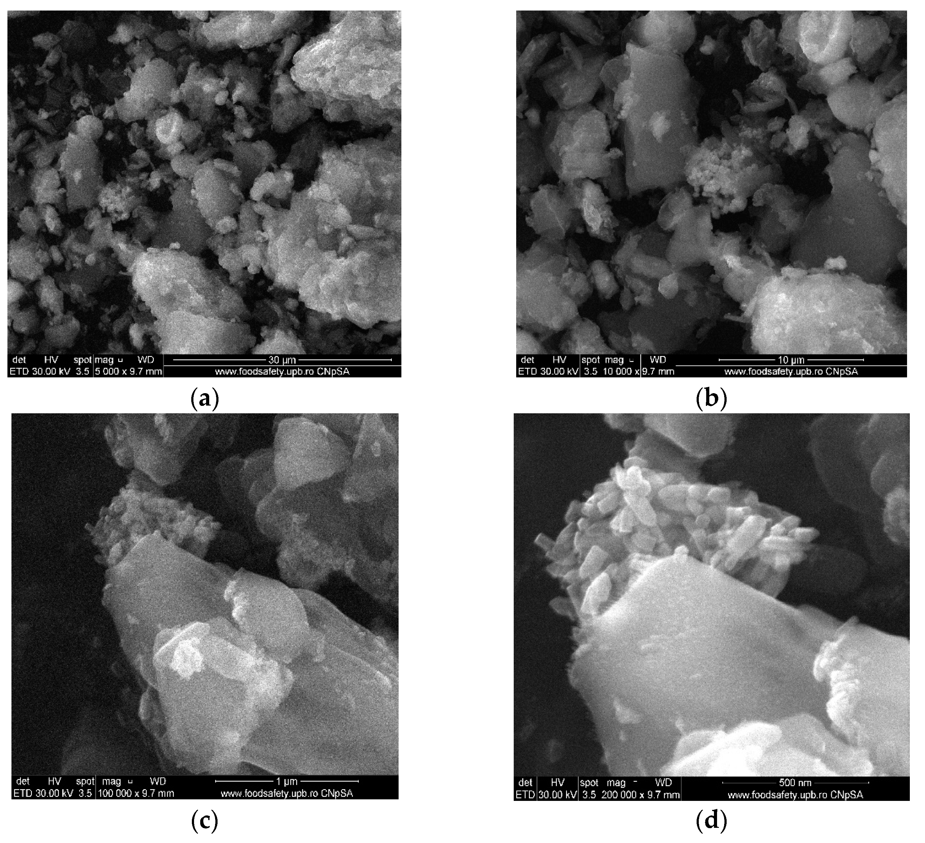 Materials 14 04747 g005