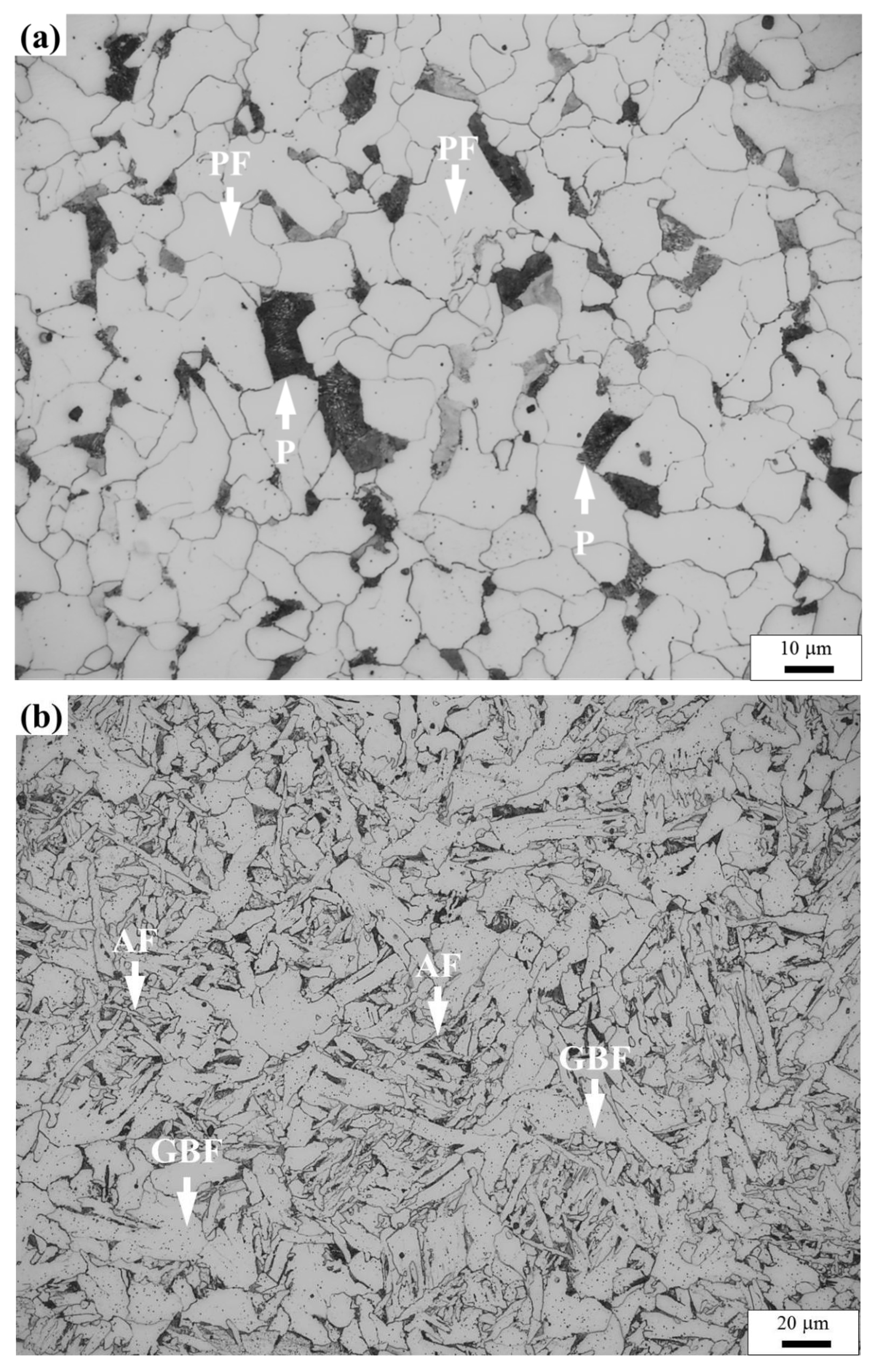 Materials 14 04760 g002a 550
