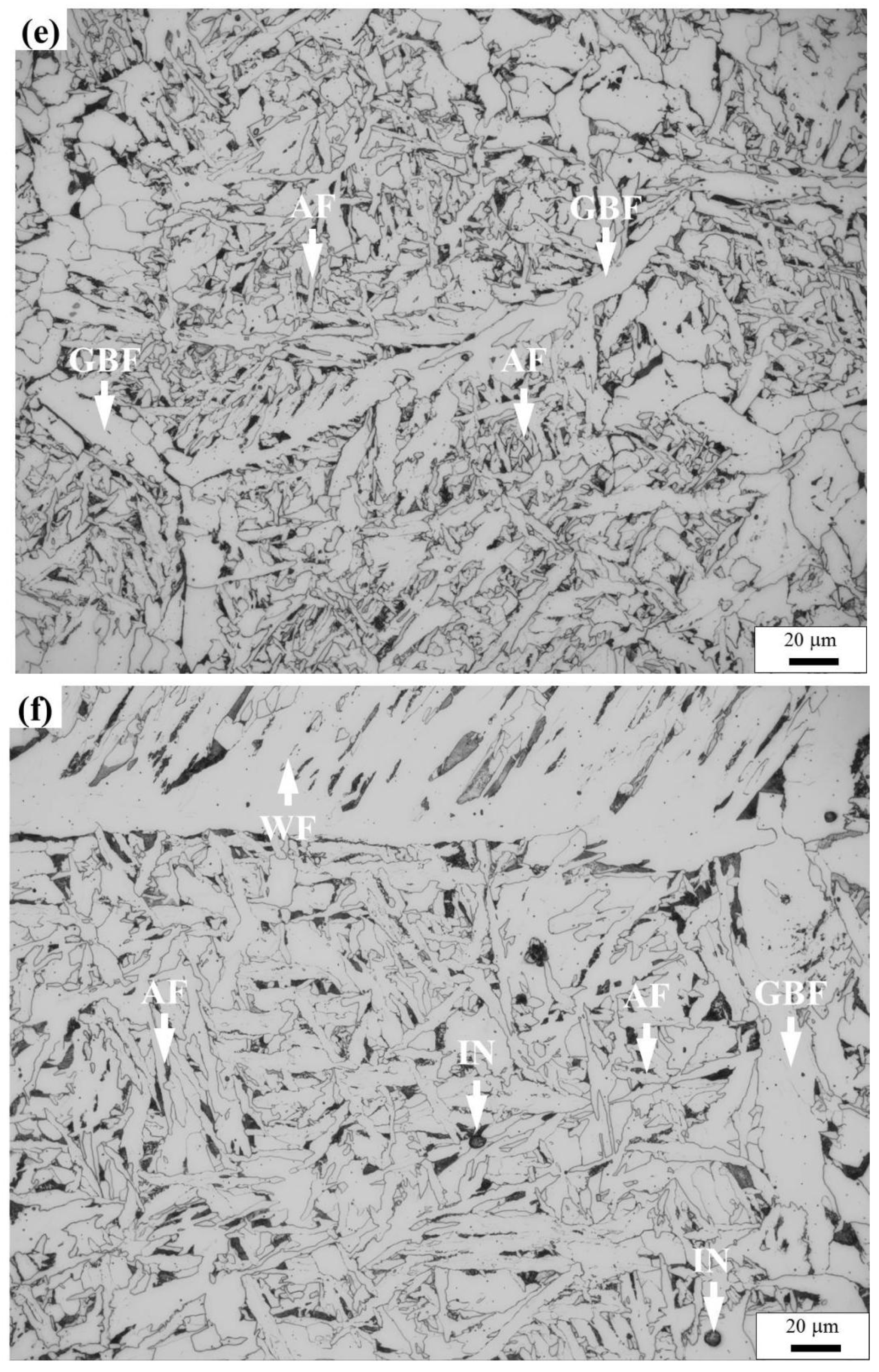 Materials 14 04760 g002c 550