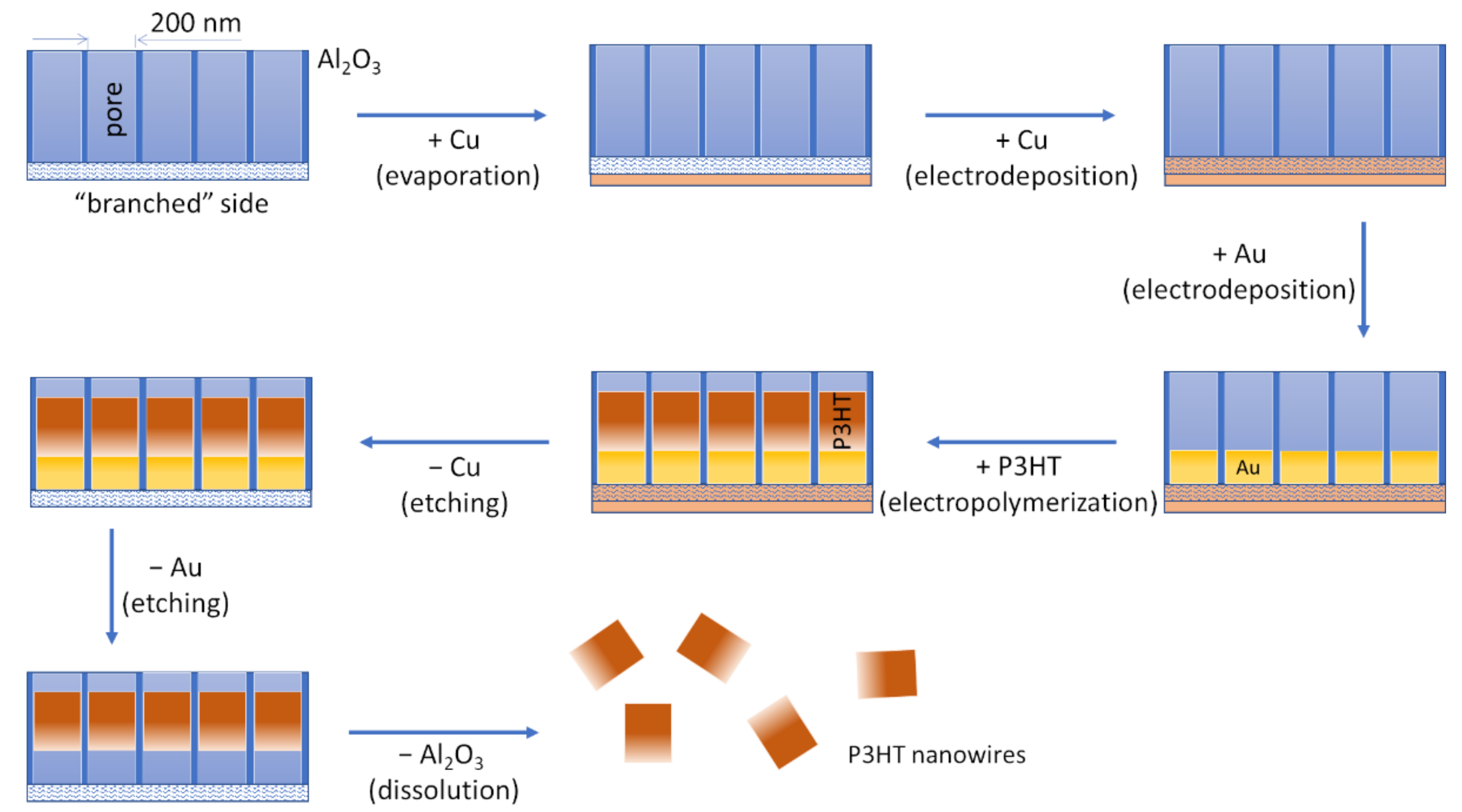 Materials 14 04761 g001