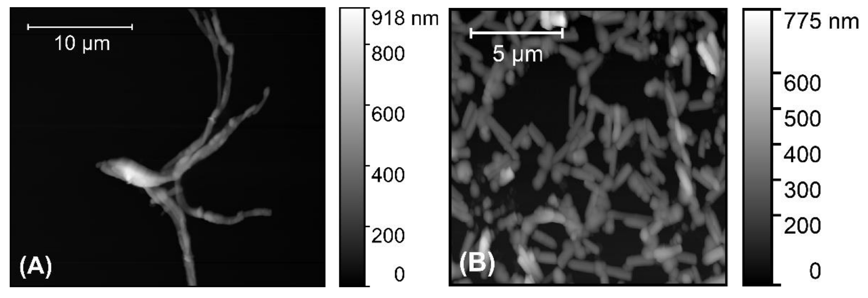 Materials 14 04761 g003