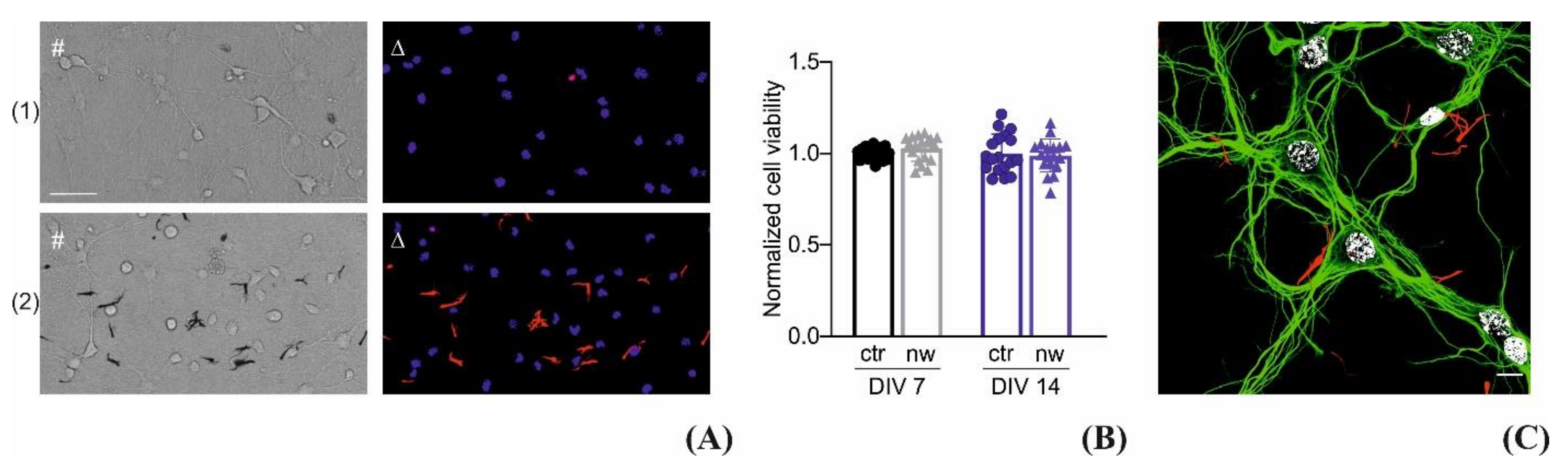 Materials 14 04761 g007