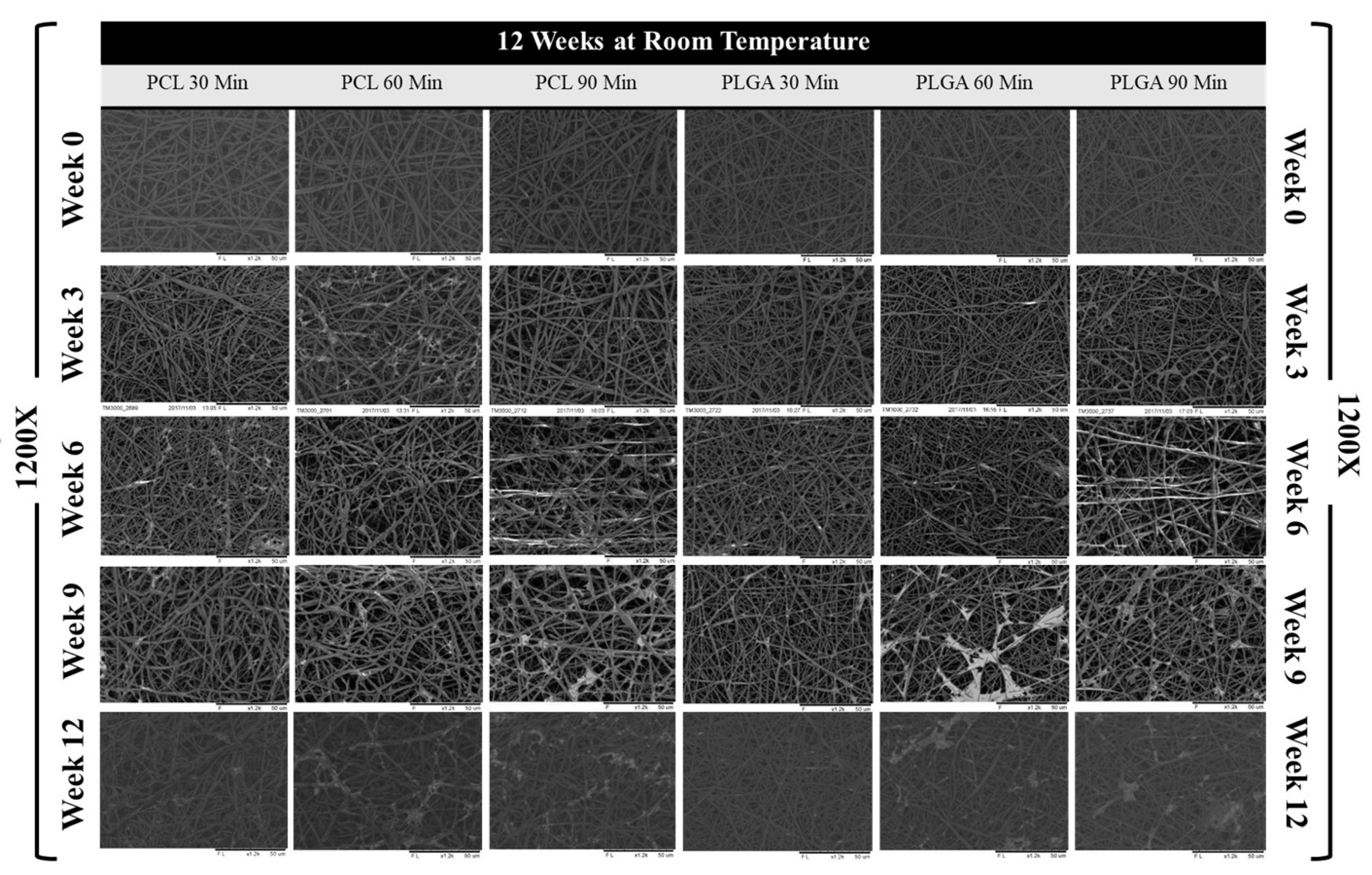 Materials 14 04773 g004 Materials 14 04773 g004