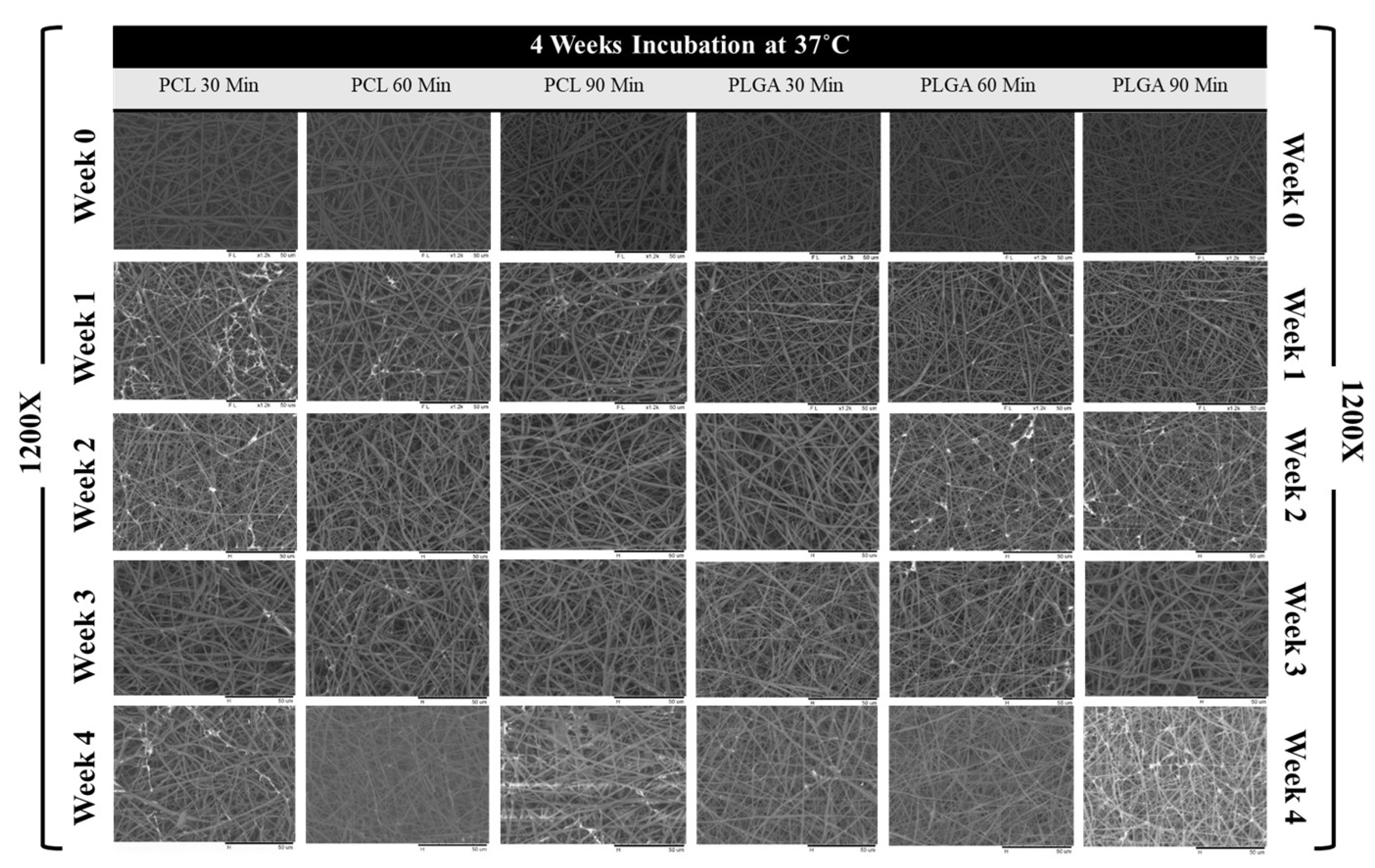 Materials 14 04773 g005 Materials 14 04773 g005
