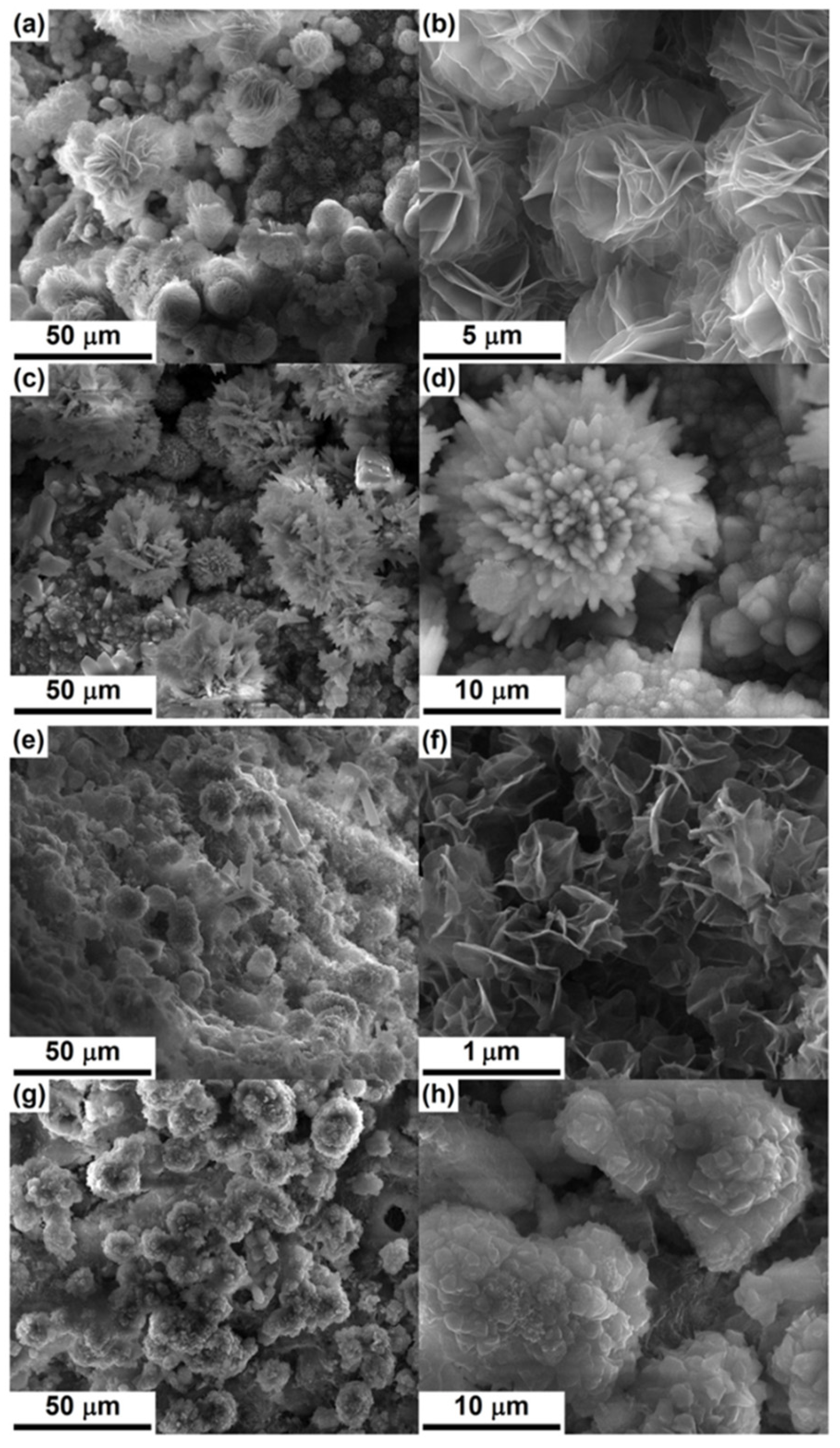 Materials 14 04777 g005