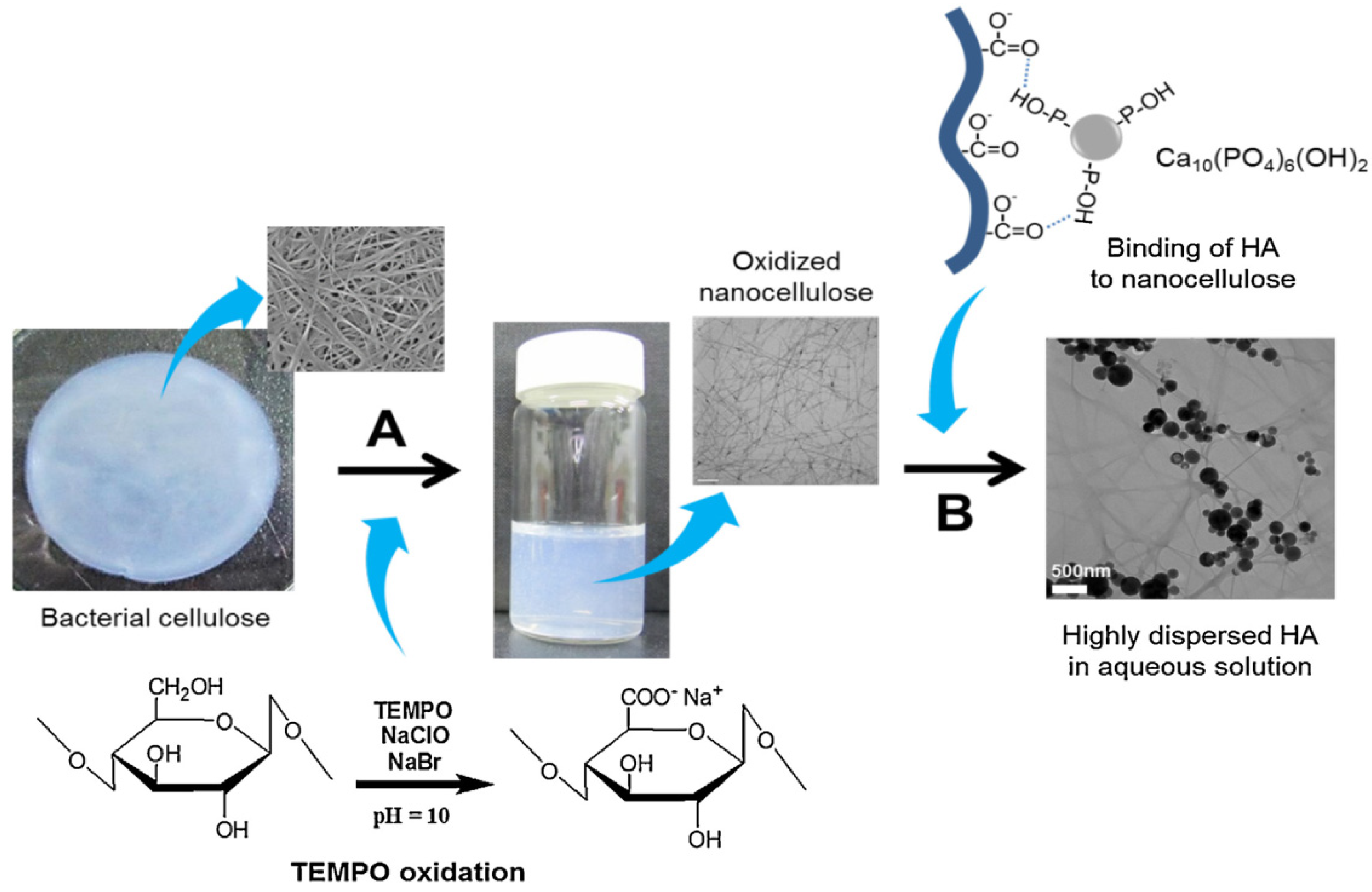 Materials 14 04777 g006